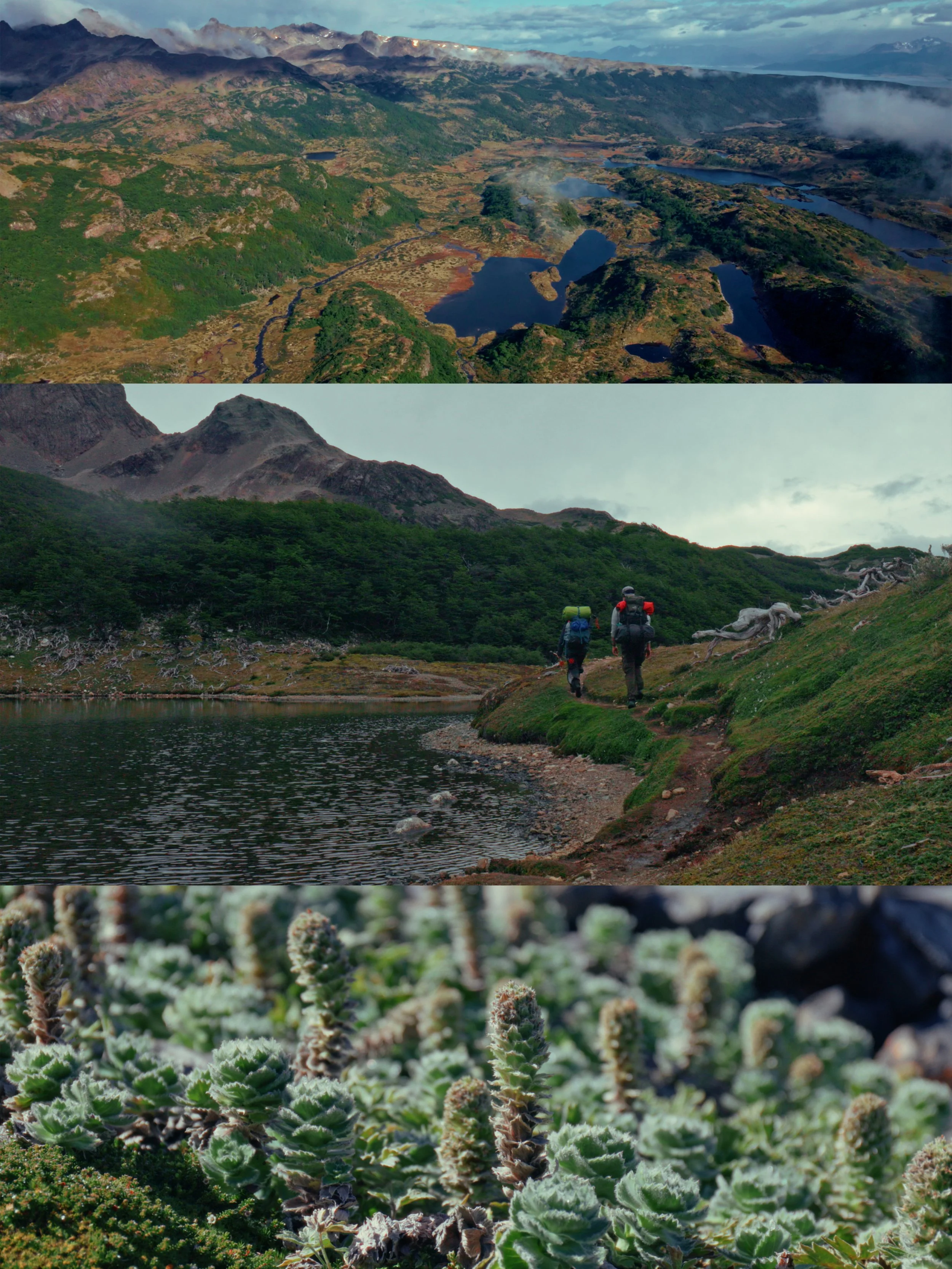 A collage of three images: The top image is an aerial view of a mountainous landscape with lakes and forested terrain; the middle image shows two hikers walking along a trail near a lake with mountains in the background; the bottom image is a close-u