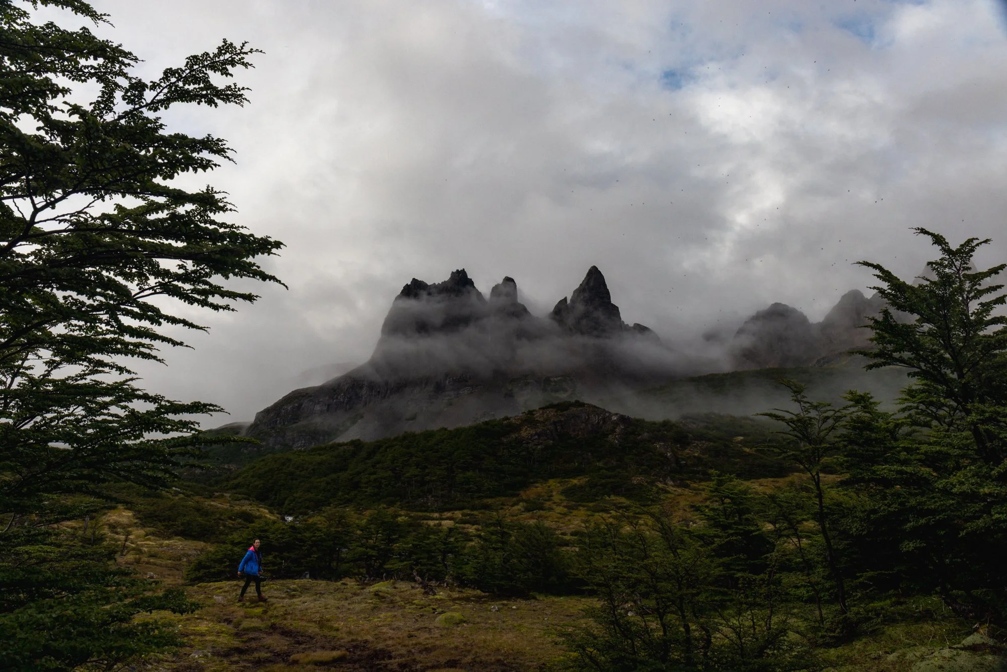 A person in a blue jacket walking on a trail through a lush green landscape with trees and bushes, in front of a backdrop of tall, jagged mountains partly shrouded in mist and clouds, under a cloudy sky.