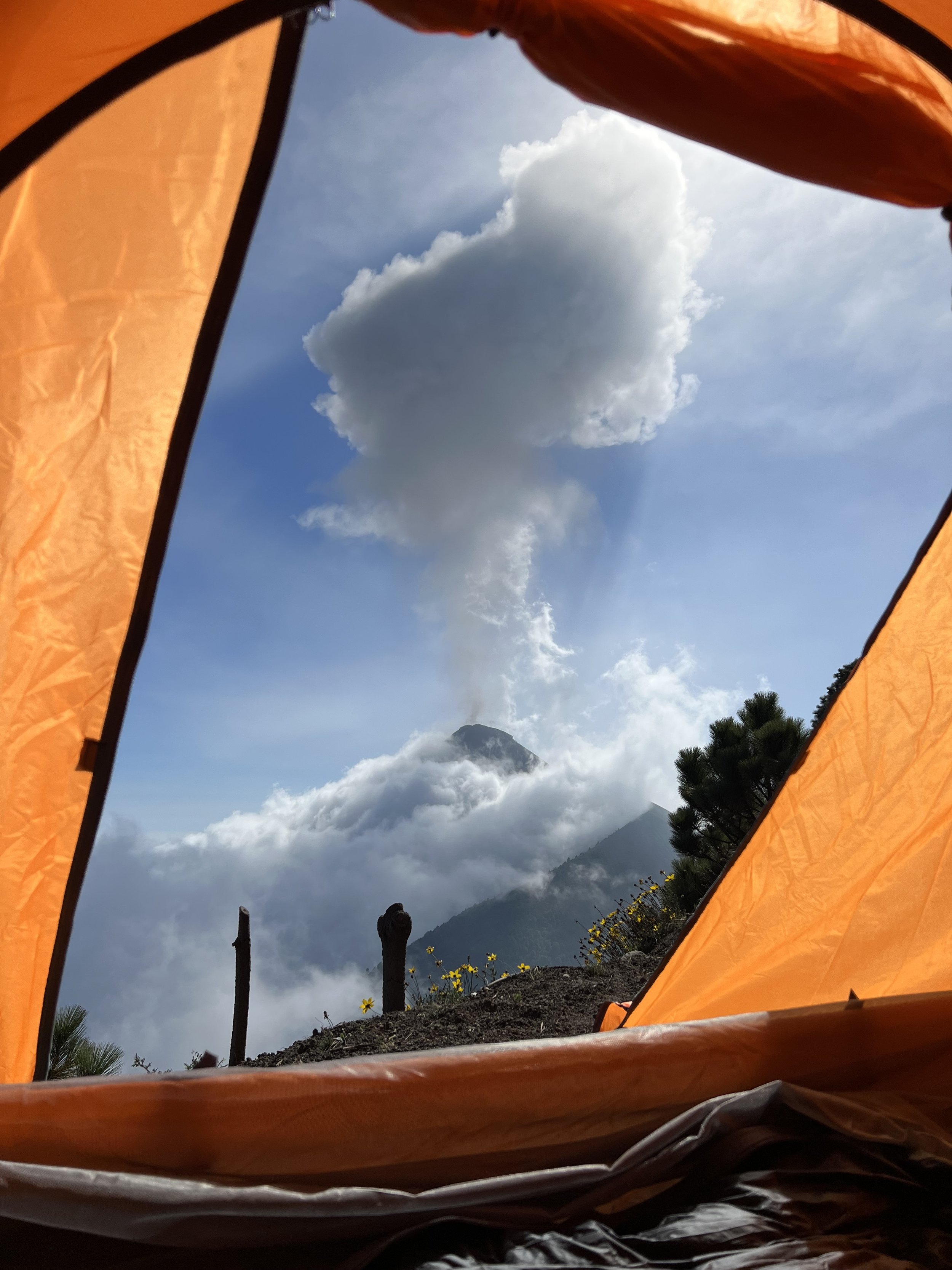 View from inside a tent looking out at a mountain with a volcano erupting, emitting smoke and ash, partially covered by clouds, and surrounded by small plants and wildflowers.