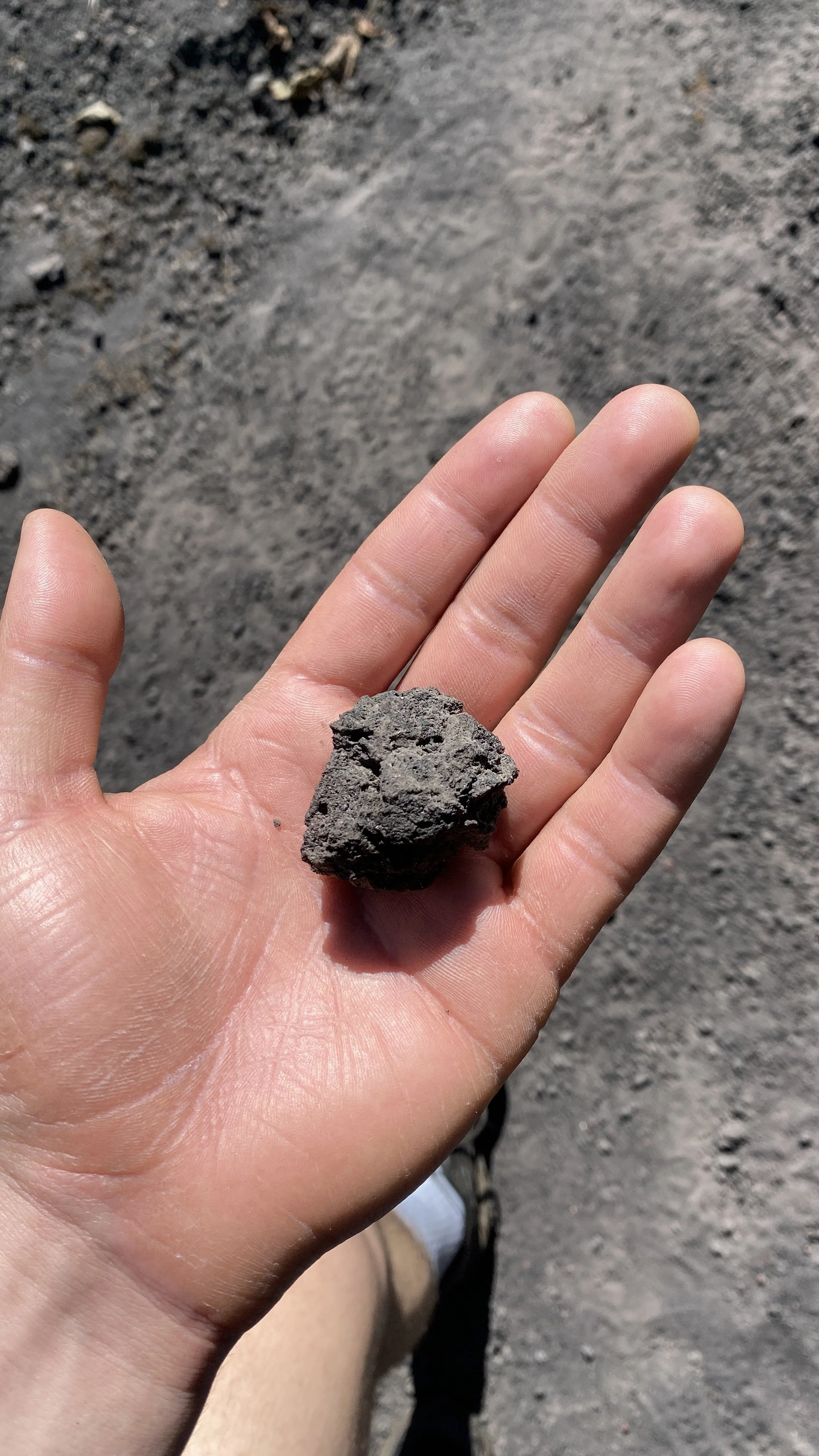 Hand holding a small, dark, rough rock over dirt ground.