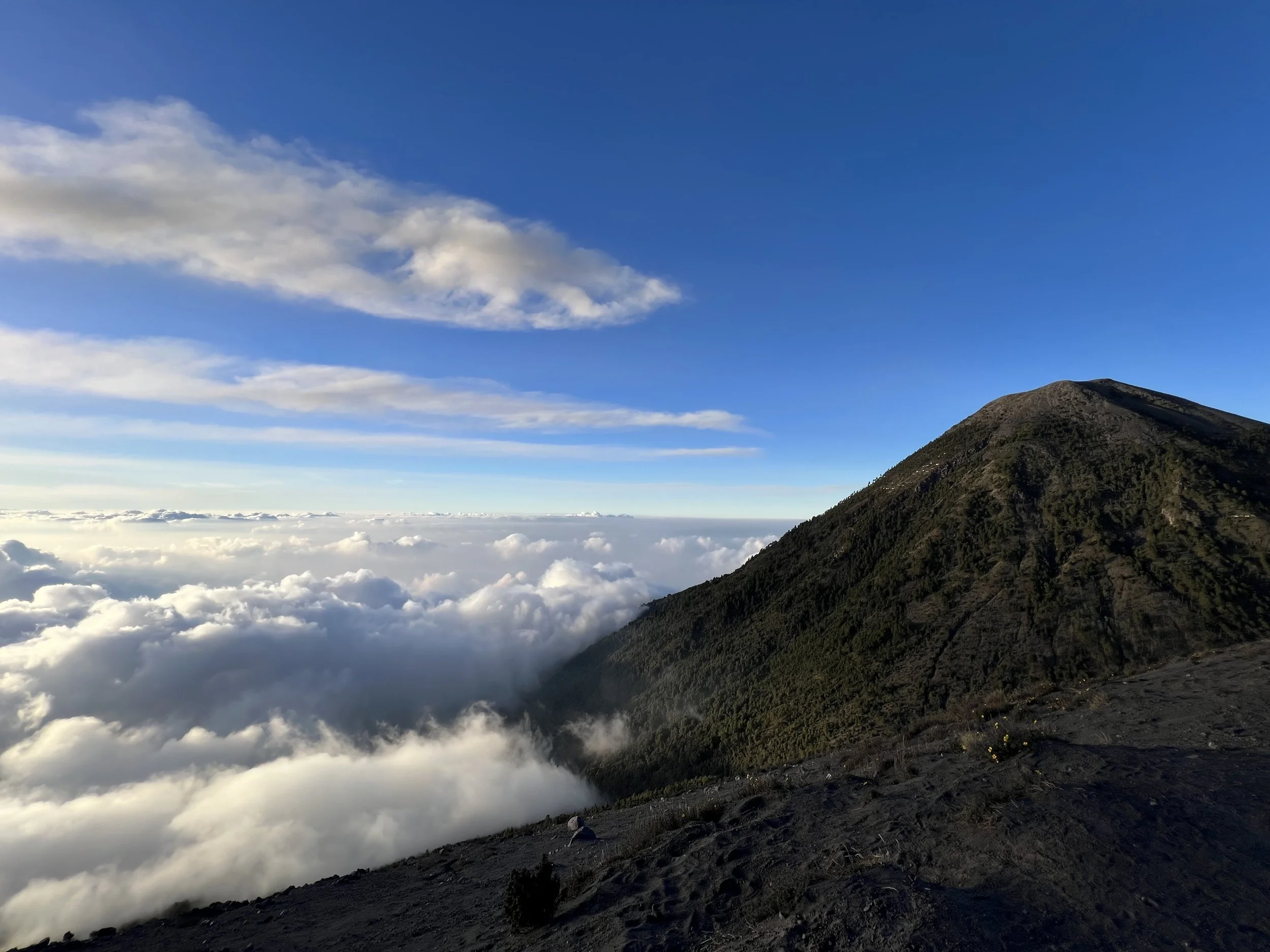 A mountain slope with green vegetation and rocky terrain, above a sea of white clouds under a blue sky with scattered clouds.