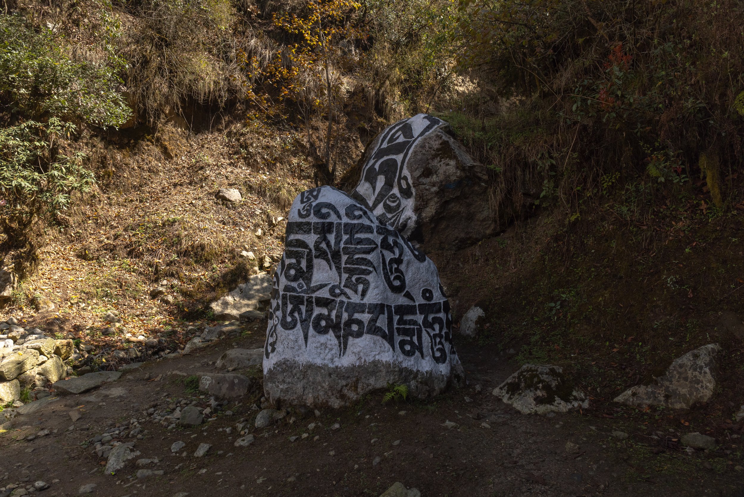 Two large rocks with black and white Tibetan script painted on them, situated in a natural, mountainous outdoor setting with sparse vegetation and a dirt ground.