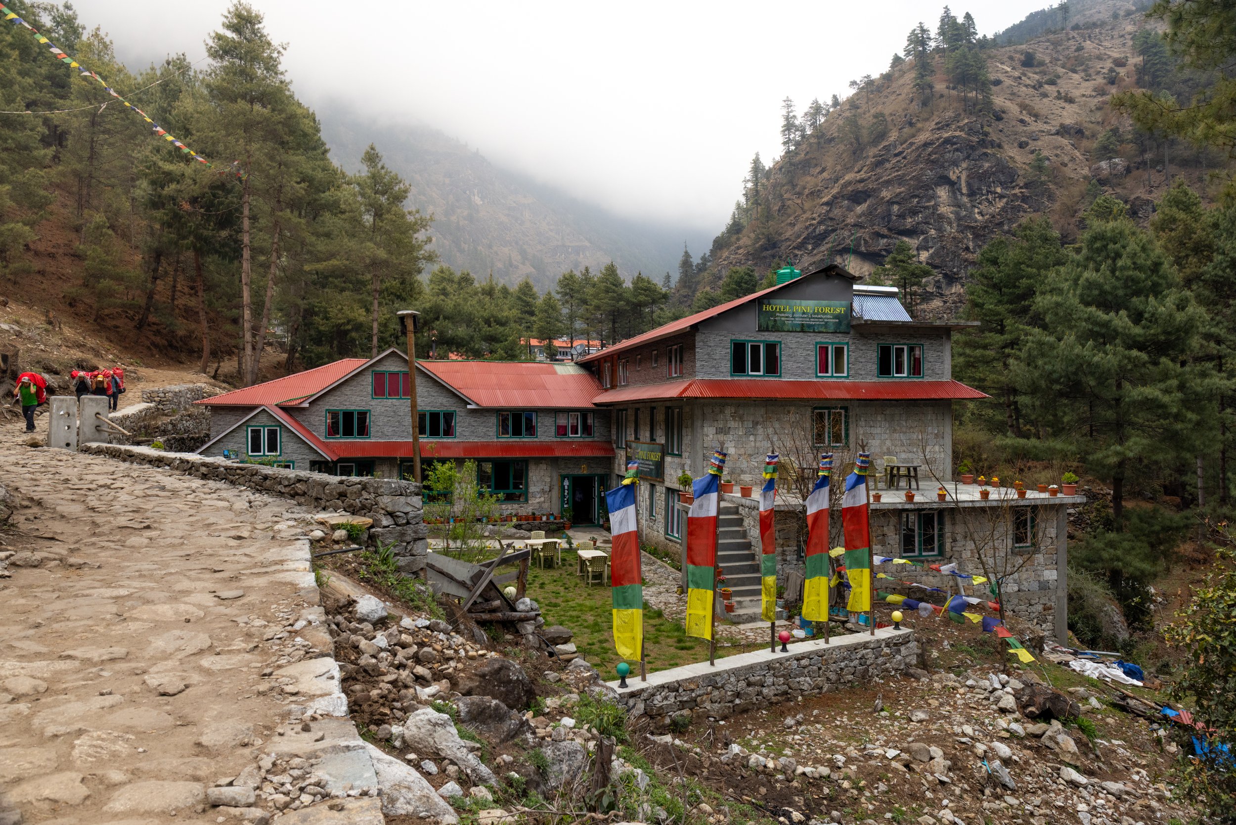 A stone hotel named 'Hotel Pine Forest' with a red metal roof, located in a mountainous forest area. The hotel has colorful prayer flags on poles in front and is surrounded by trees and rocky terrain. A group of hikers is walking on a rocky trail to 