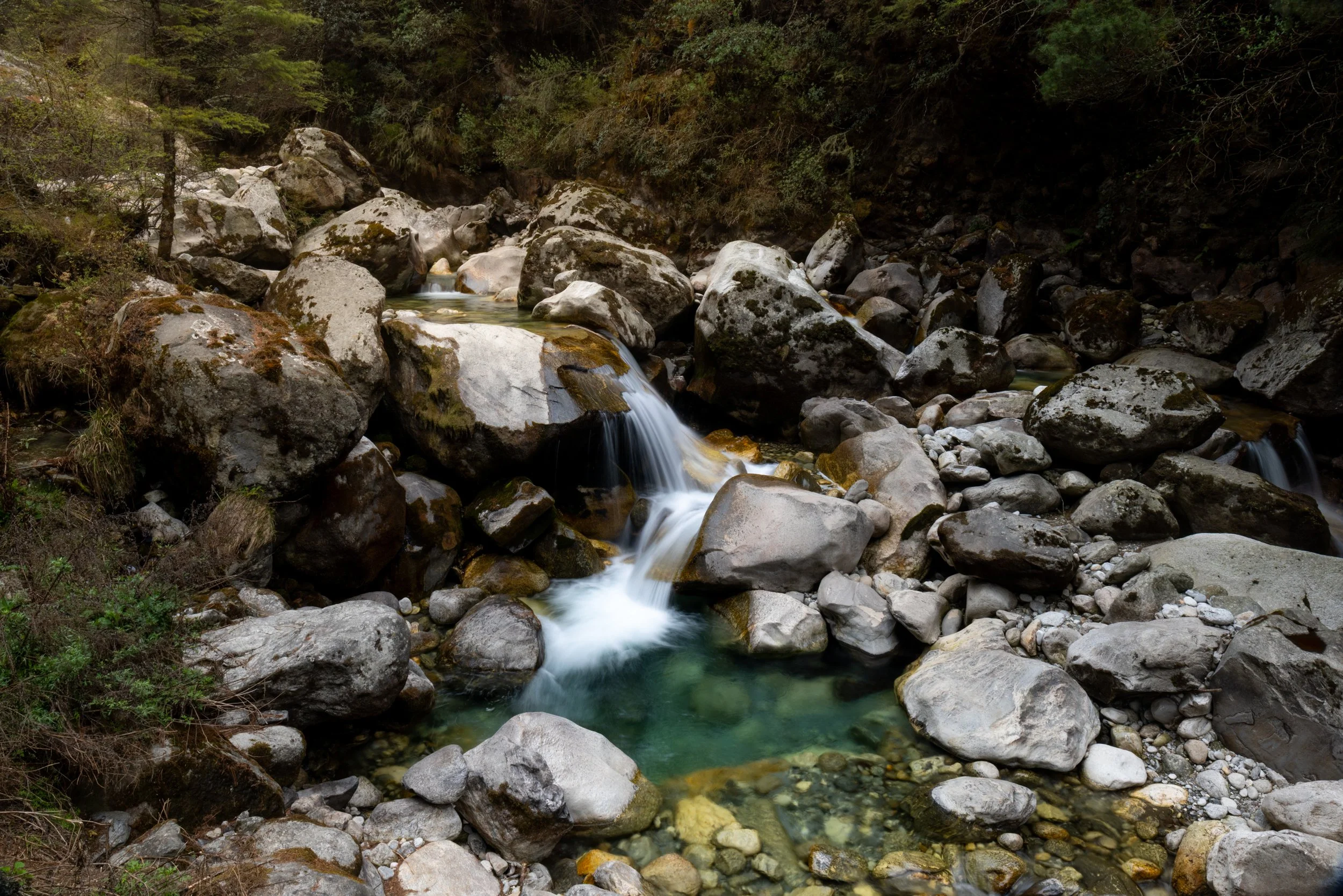 A small creek with a gentle waterfall flowing over rocks surrounded by trees and dense forest