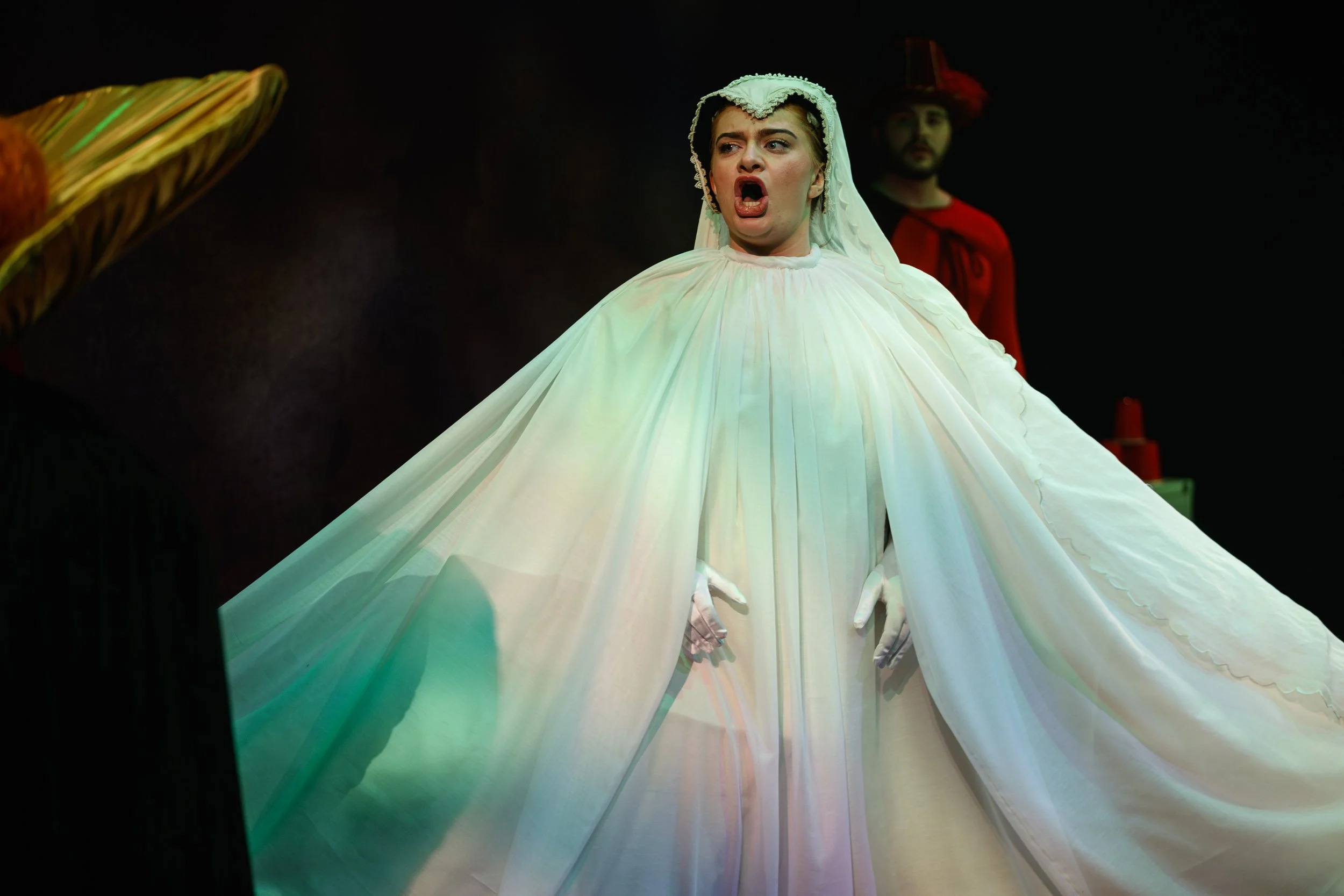 Autumn Opera Scenes - 2025
@photographise