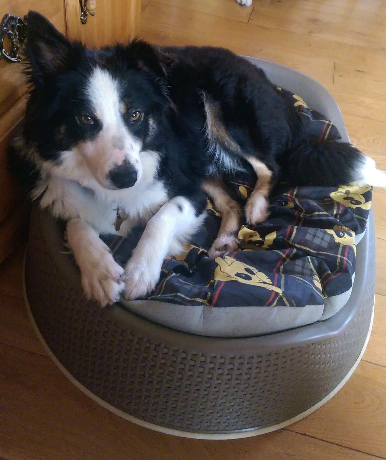 An image of Sam that sums her up.