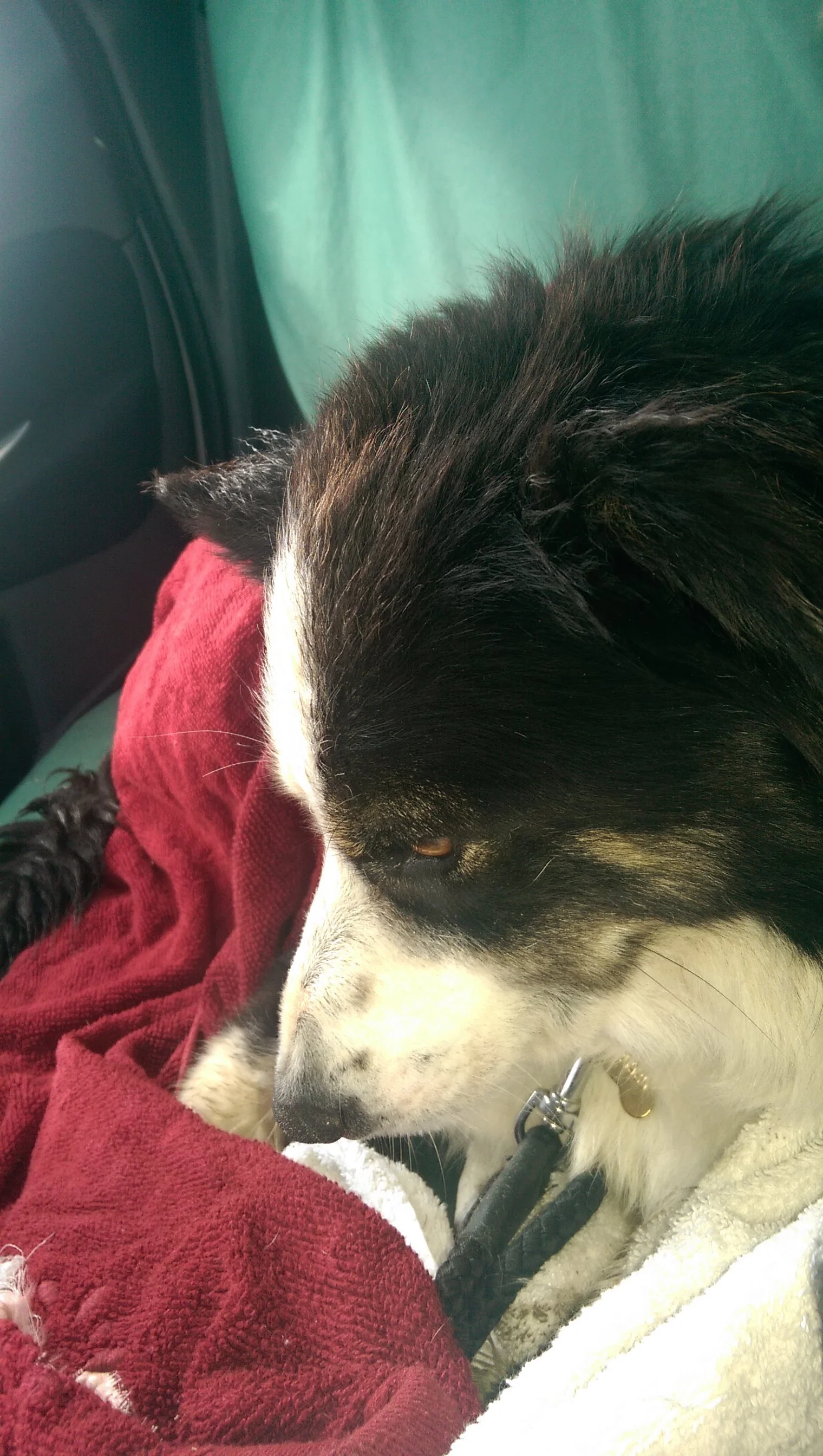 The journey home