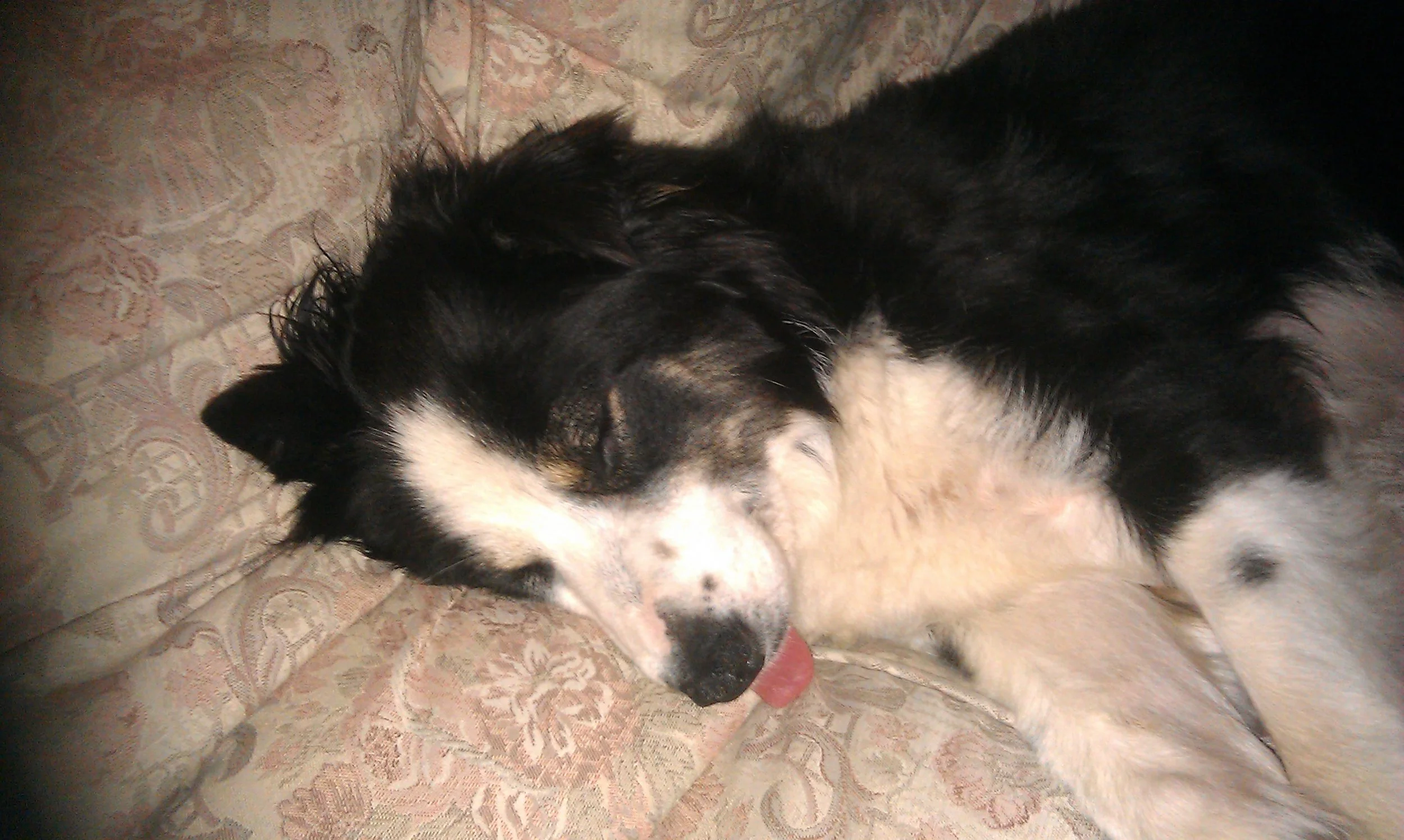 That tongue 😉