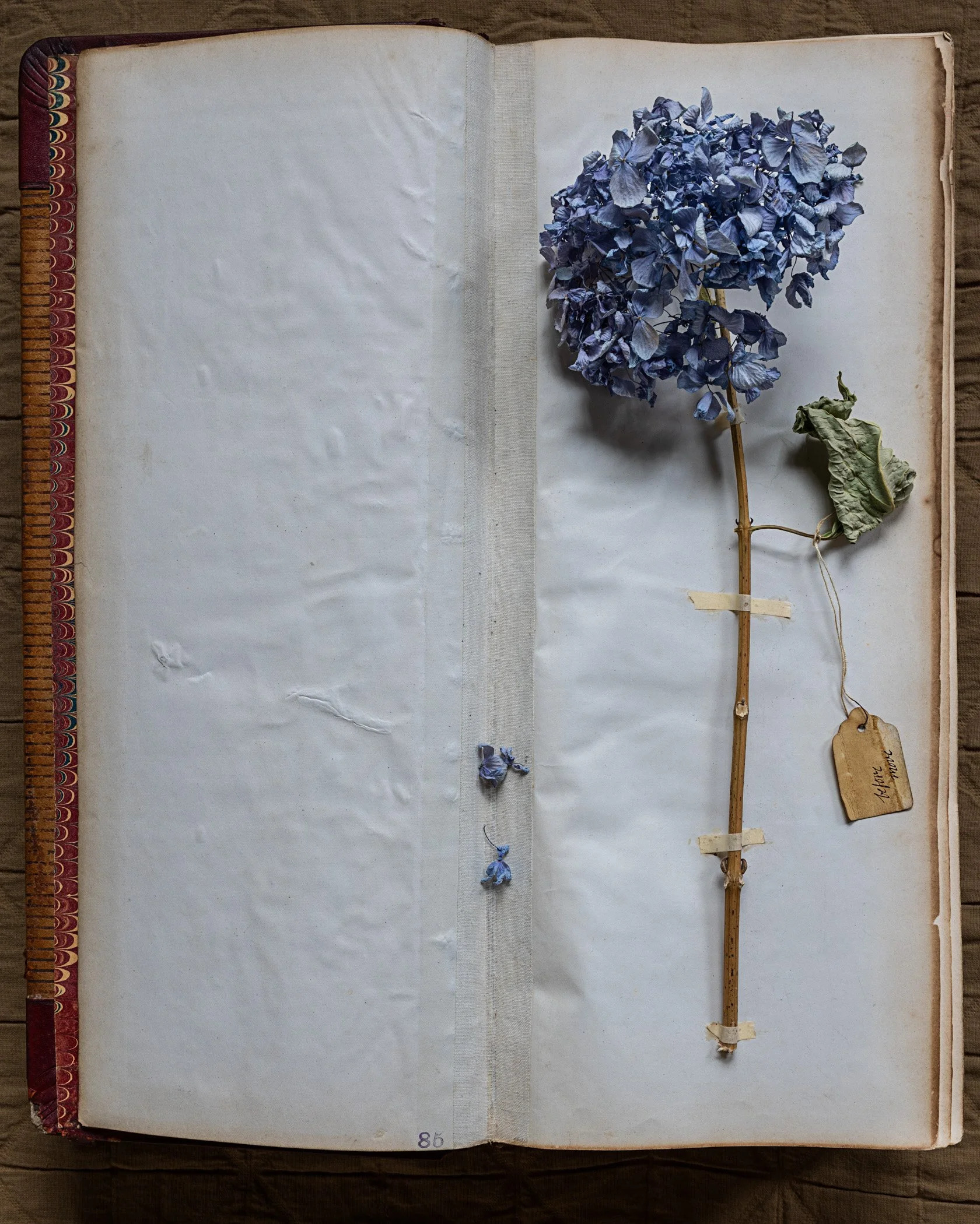 7U9A2521-Edit-Edit.jpg
