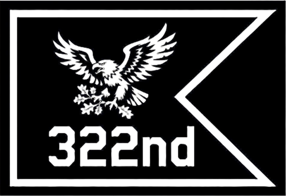 Black patch with a stylized eagle holding arrows and a banner that says '322nd' in relief.