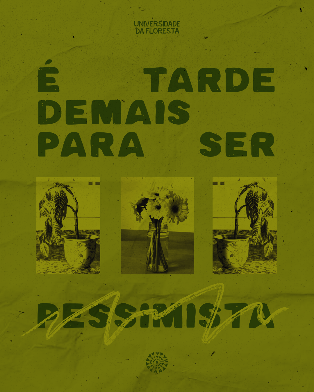 Post da Universidade da Floresta com a frase "É tarde demais para ser pessimista" e três imagens de plantas ou flores.