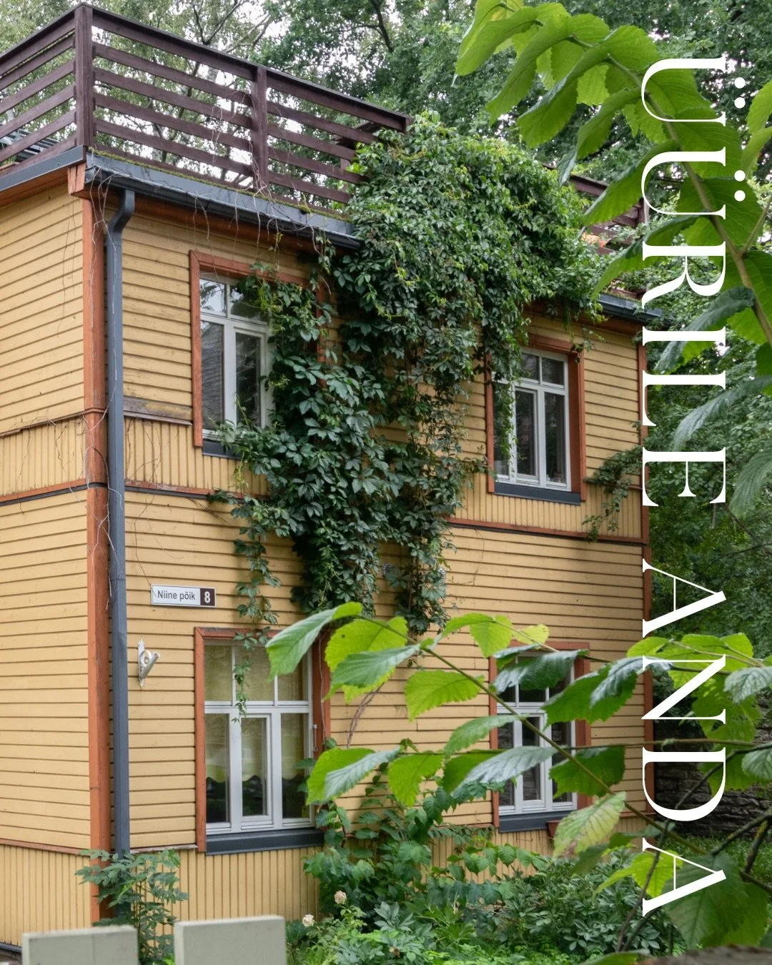 🌿 T&otilde;eline p&auml;rl Kalamaja s&uuml;dames! 🏡
✨ Rahulik ja roheline elukeskkond otse linna keskel &ndash; avar 2-toaline korter asub Kalamaja vaikses tupikt&auml;navas aadressil Niine p&otilde;ik 8. 

📍 Miks see kodu on eriline?
&bull; l&aum