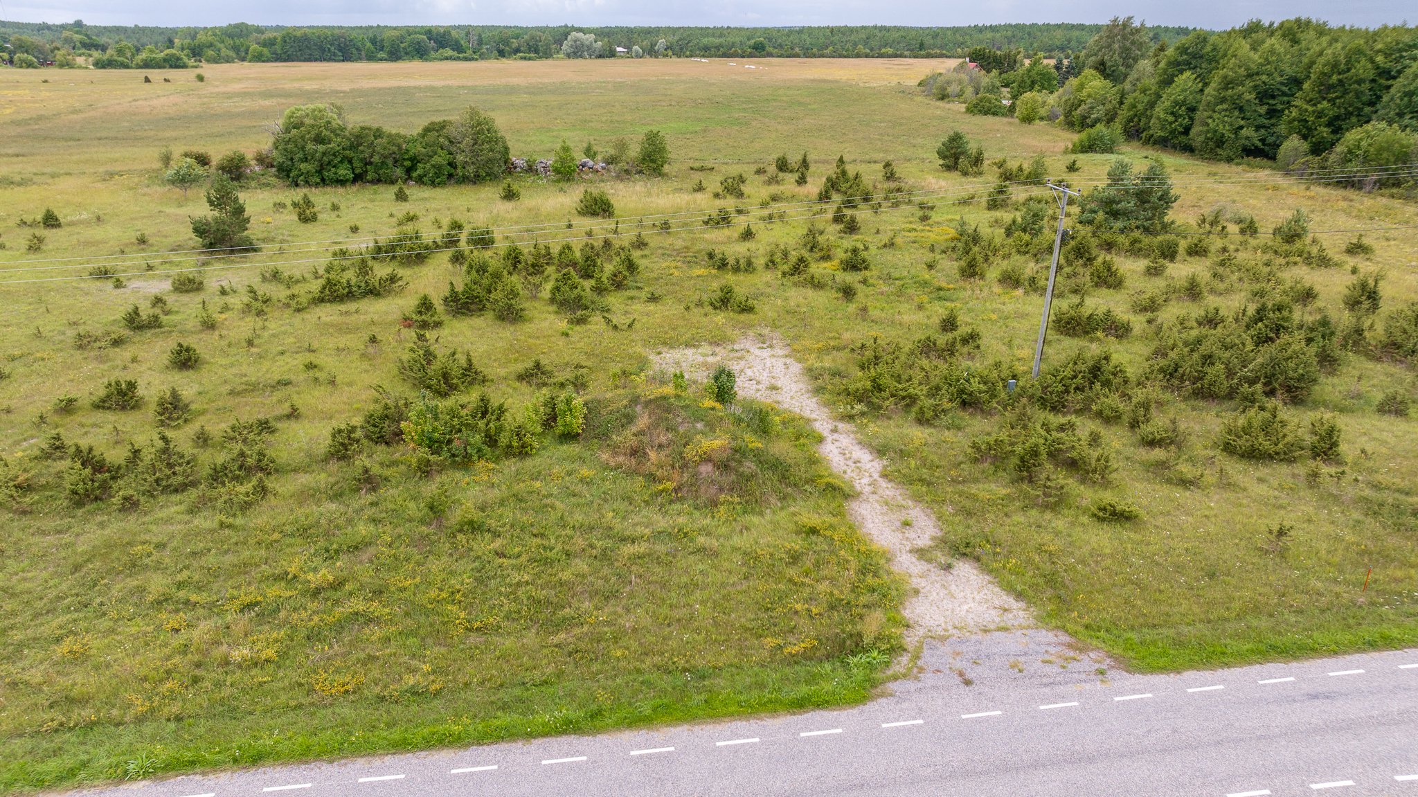 A rural landscape showing an open grassy field with small bushes and patches of trees, along with a dirt pathway leading to a line of trees and some power lines with a utility pole. There is a paved road in the foreground.