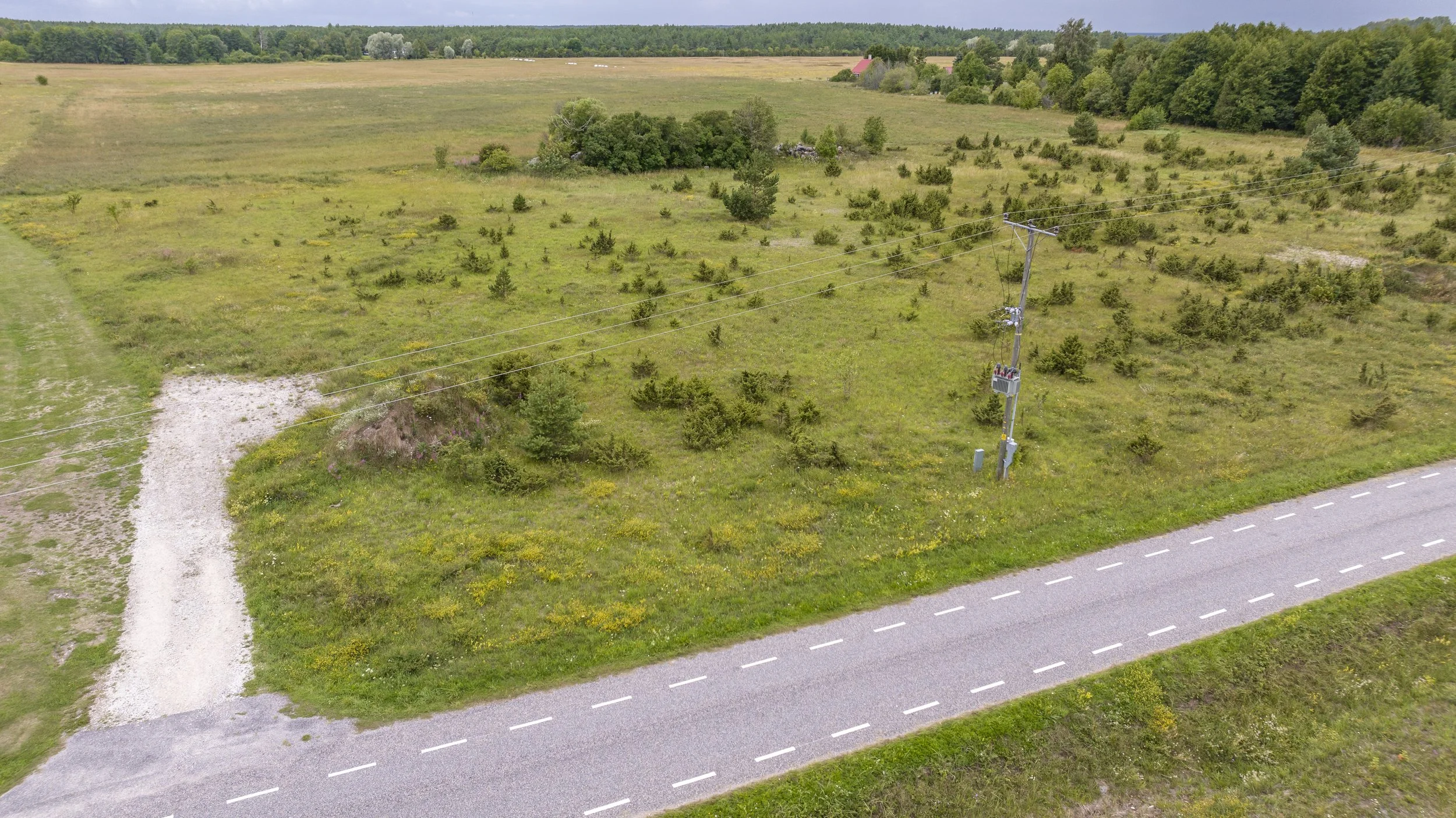 A rural landscape with open grassy fields, scattered shrubs, and trees in the background. A utility pole with power lines is near the road, and the road has dashed white lane markings.