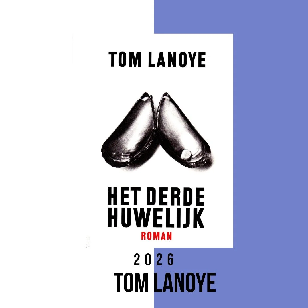 Tom Lanoye schrijft romans, po&euml;zie en toneel. Veel van zijn proza werd verfilmd.

De roman Het Derde Huwelijk werd in 2018 verfilmd als Troisi&egrave;mes noces. De film werd geregisseerd door David Lambert, met Bouli Lanners en Rachel Mwanza in 