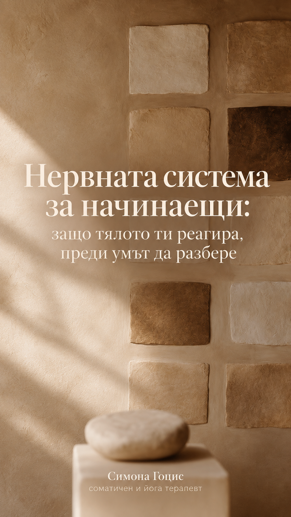 Нервната система за начинаещи