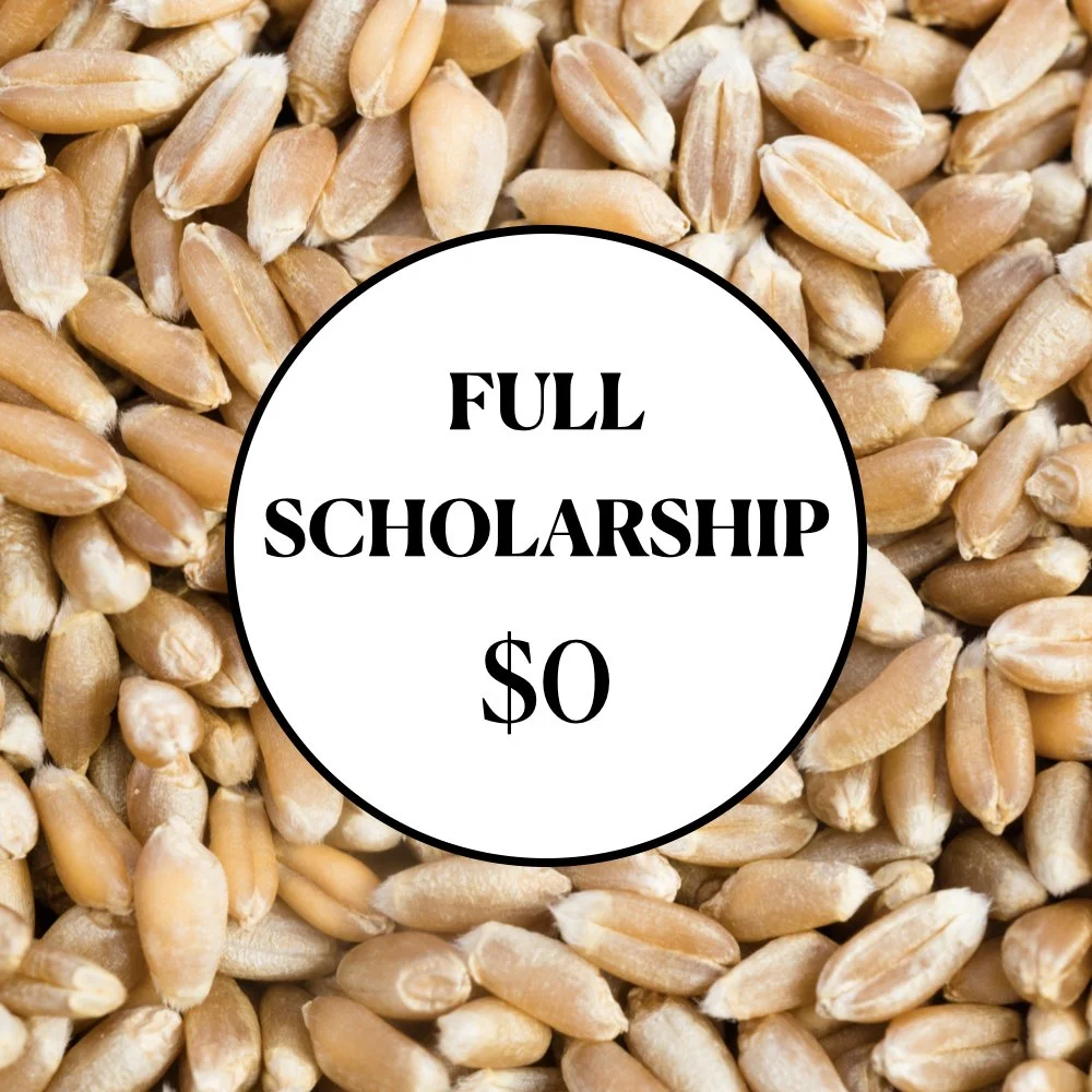 Full Scholarship Registration
