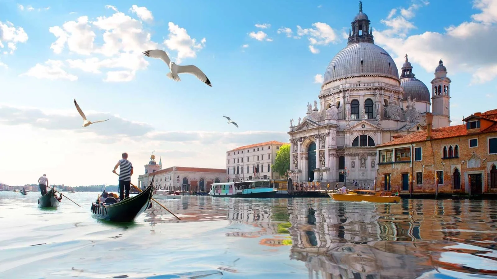 Veduta del Canal Grande di Venezia con gondole e il Duomo di Santa Maria della Salute sullo sfondo, con uccelli in volo nel cielo azzurro