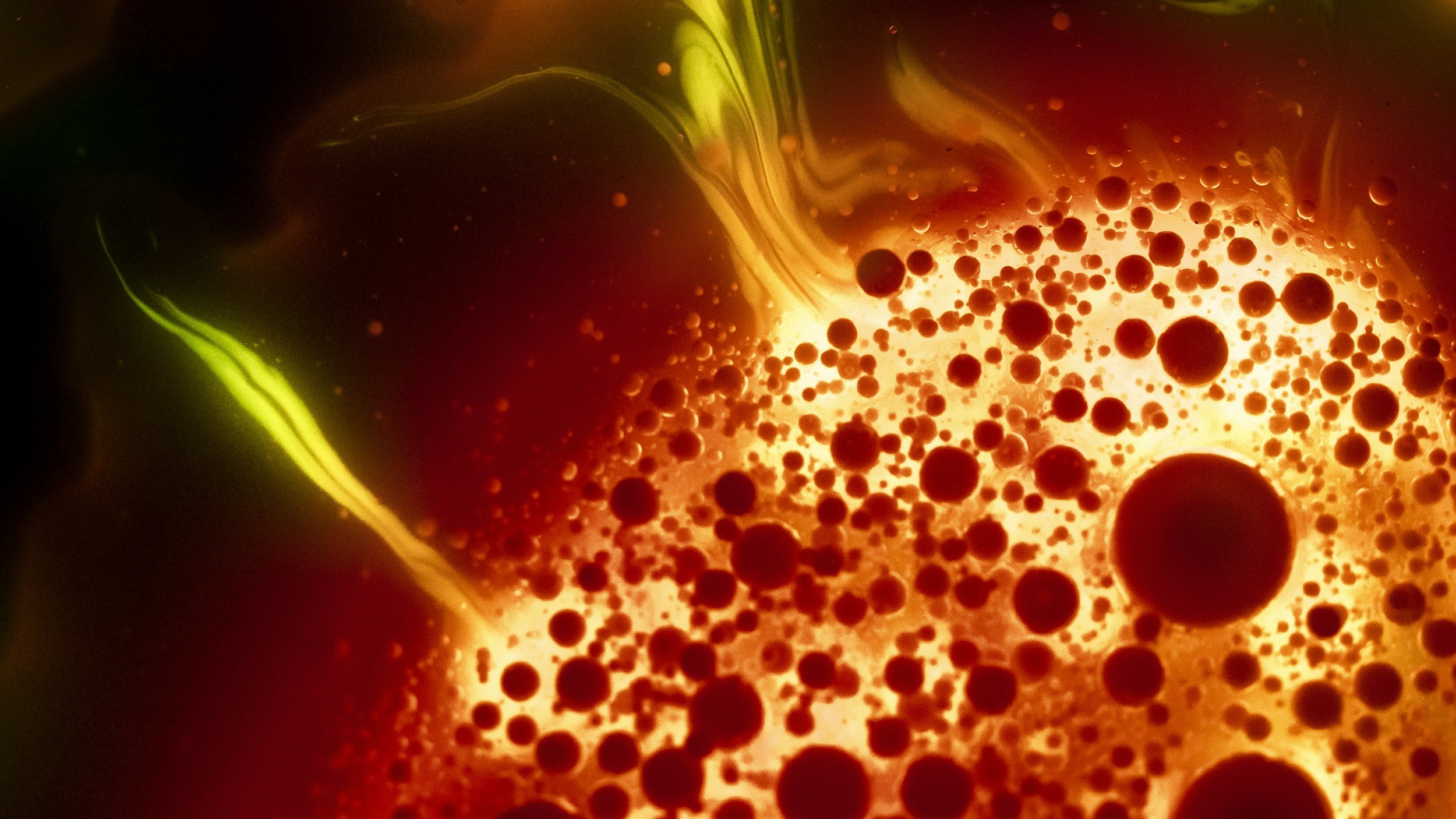 Inflammaging:The Hidden Cause of Premature Skin Aging