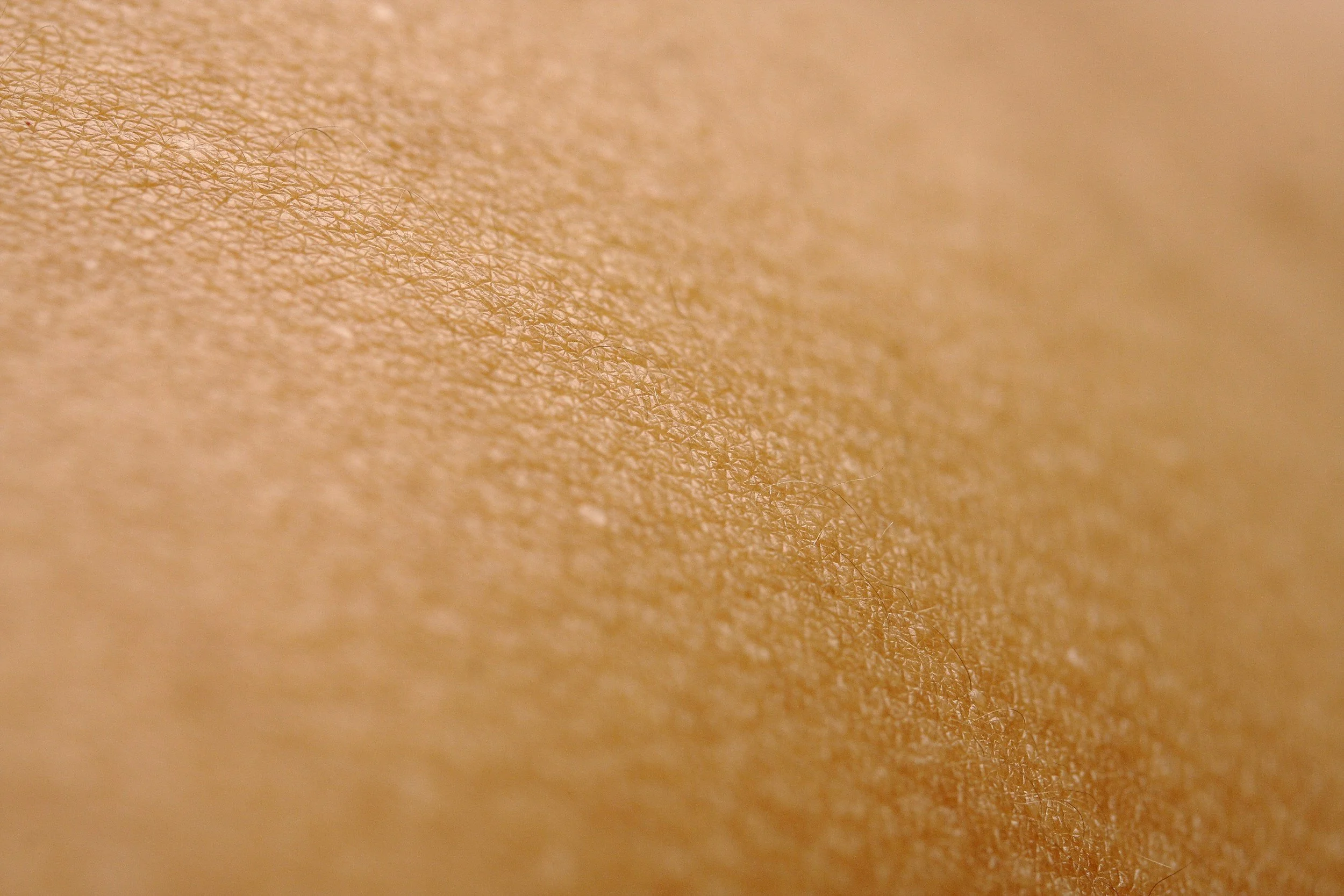 Your Skin Barrier: What It Is, What It Does, and How to Tell When It Needs Help