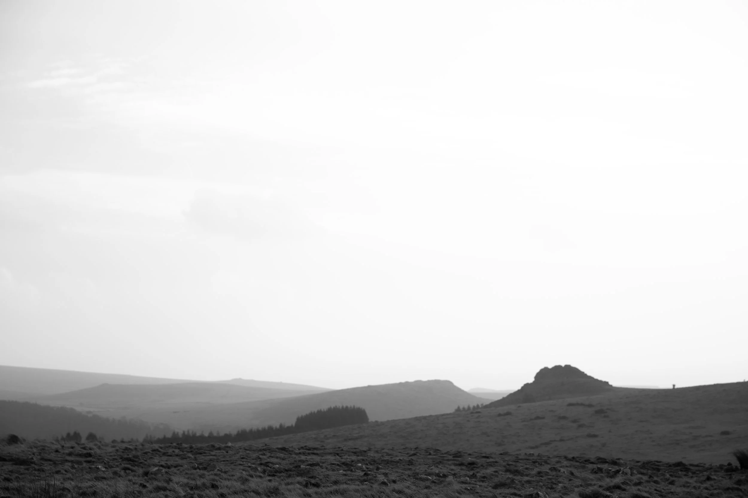 12x8 landscape.jpg