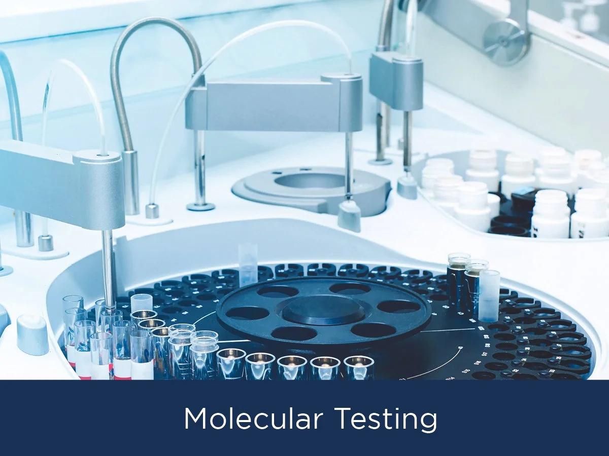   Molecular Testing    State-of-the-art molecular diagnostics offering fast, non-invasive testing for common infections with dependable results.