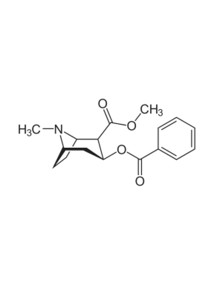   Cocaine   Benzoylecgonine