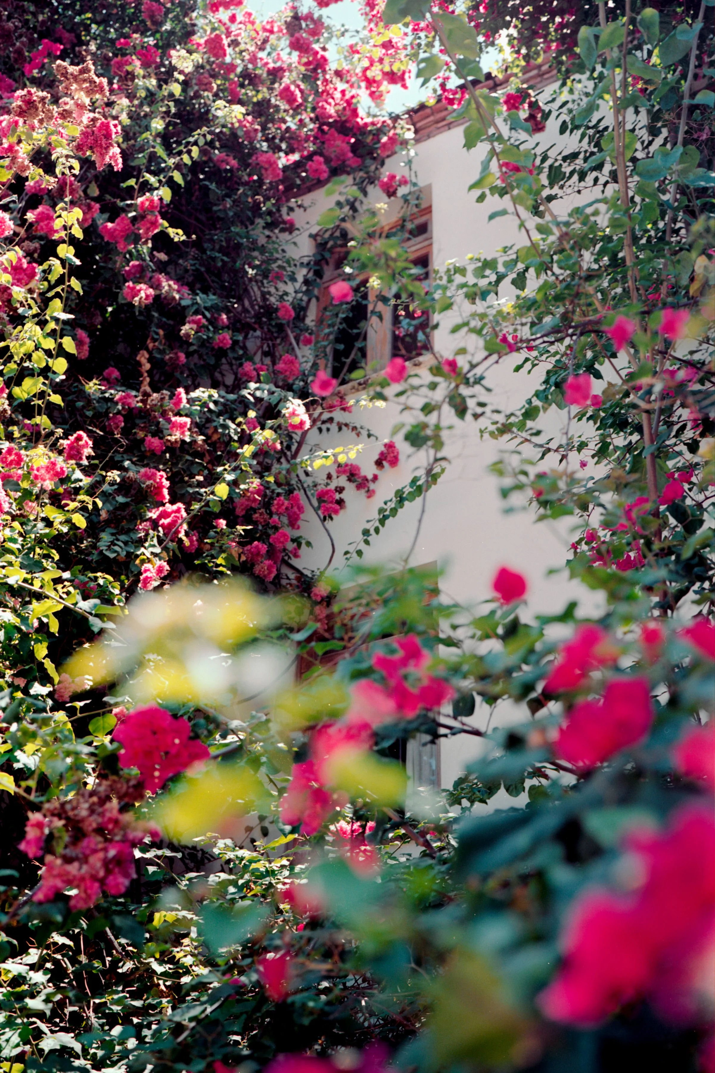 Callejón de Regina, Zona Colonial