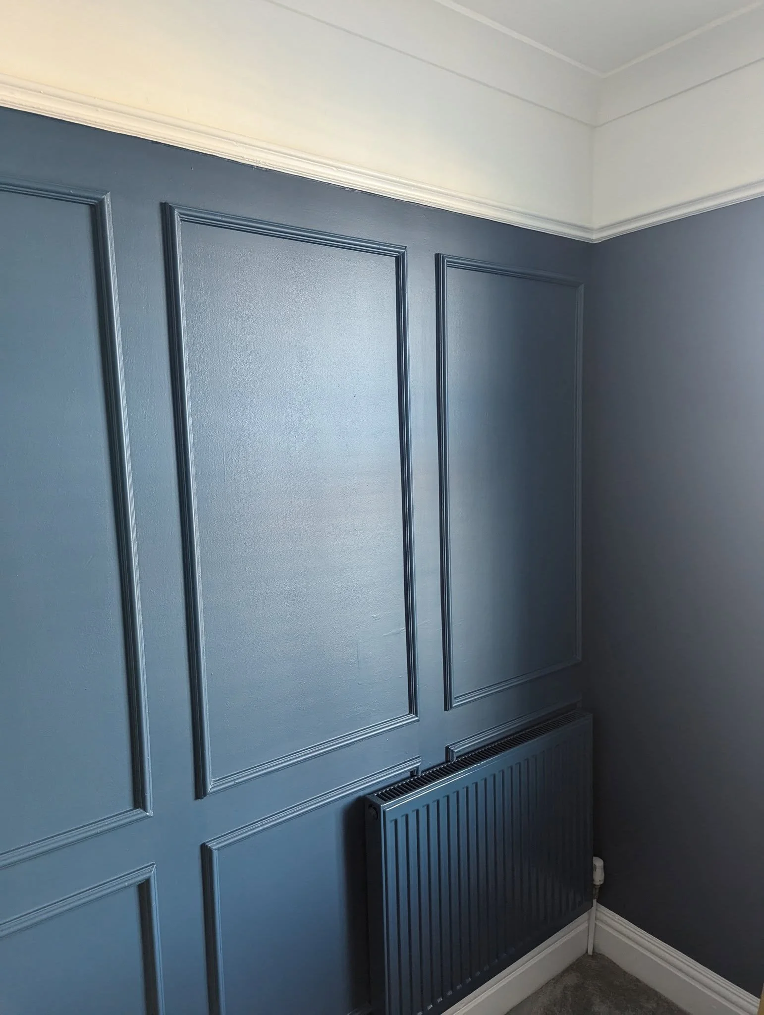 Interior corner of a room with blue wall panels featuring decorative molding, and a black radiator below.