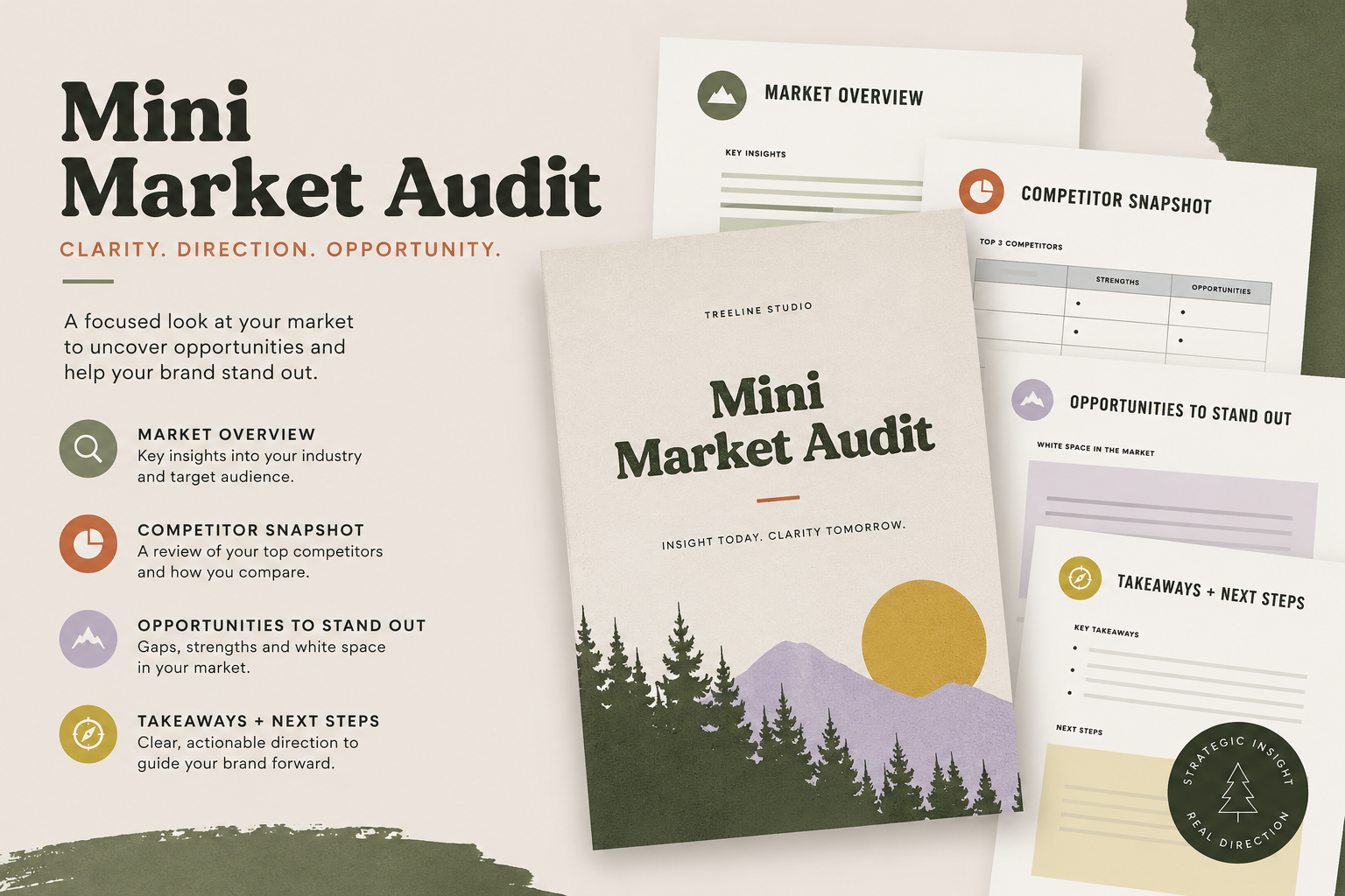 Mini market audit package including market overview, competitor snapshot, opportunities and takeways