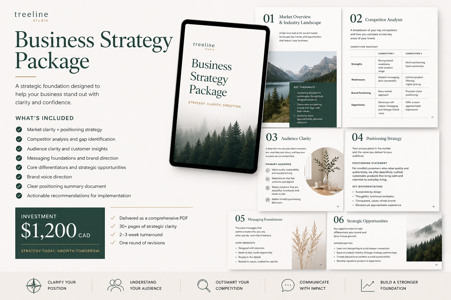 Business strategy package including competitive analysis, market analysis and opportunities