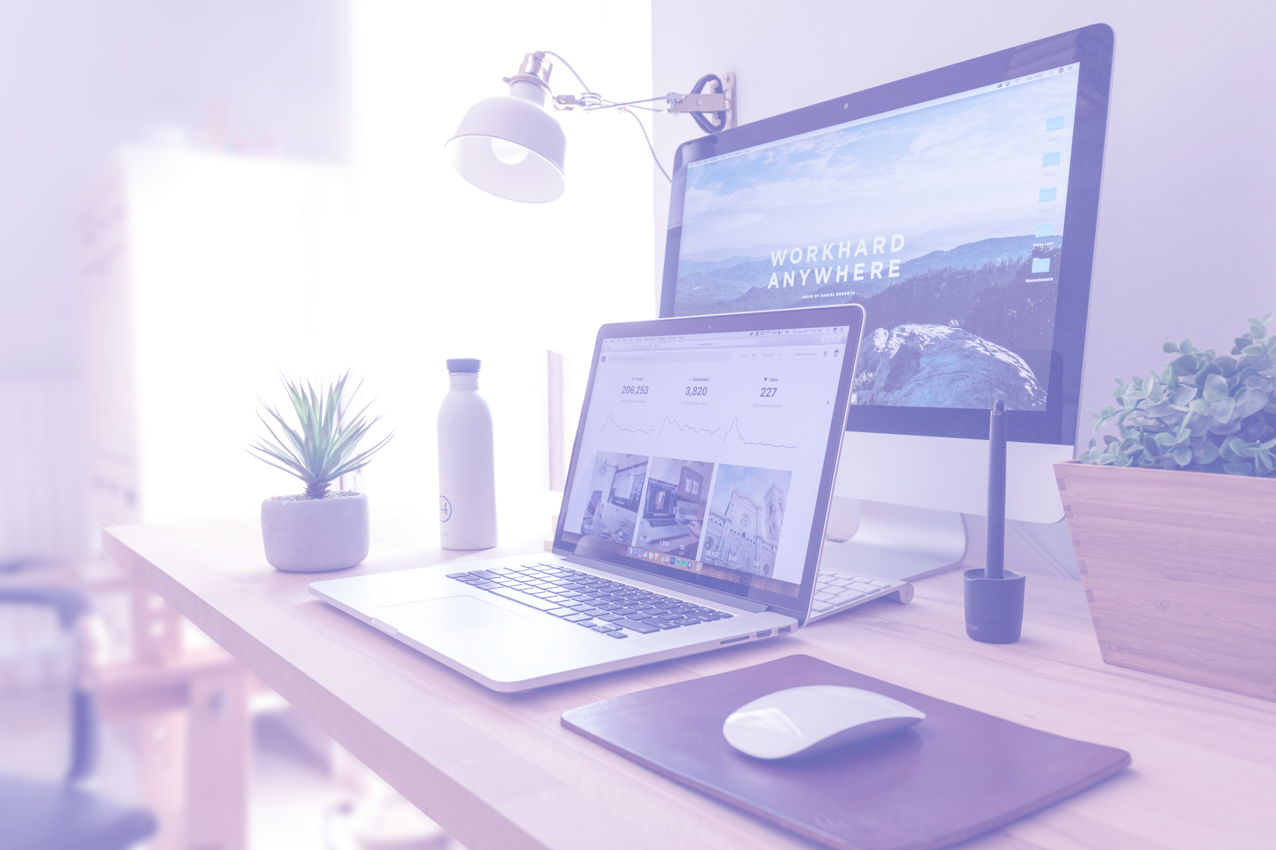 Brand aligned website design
