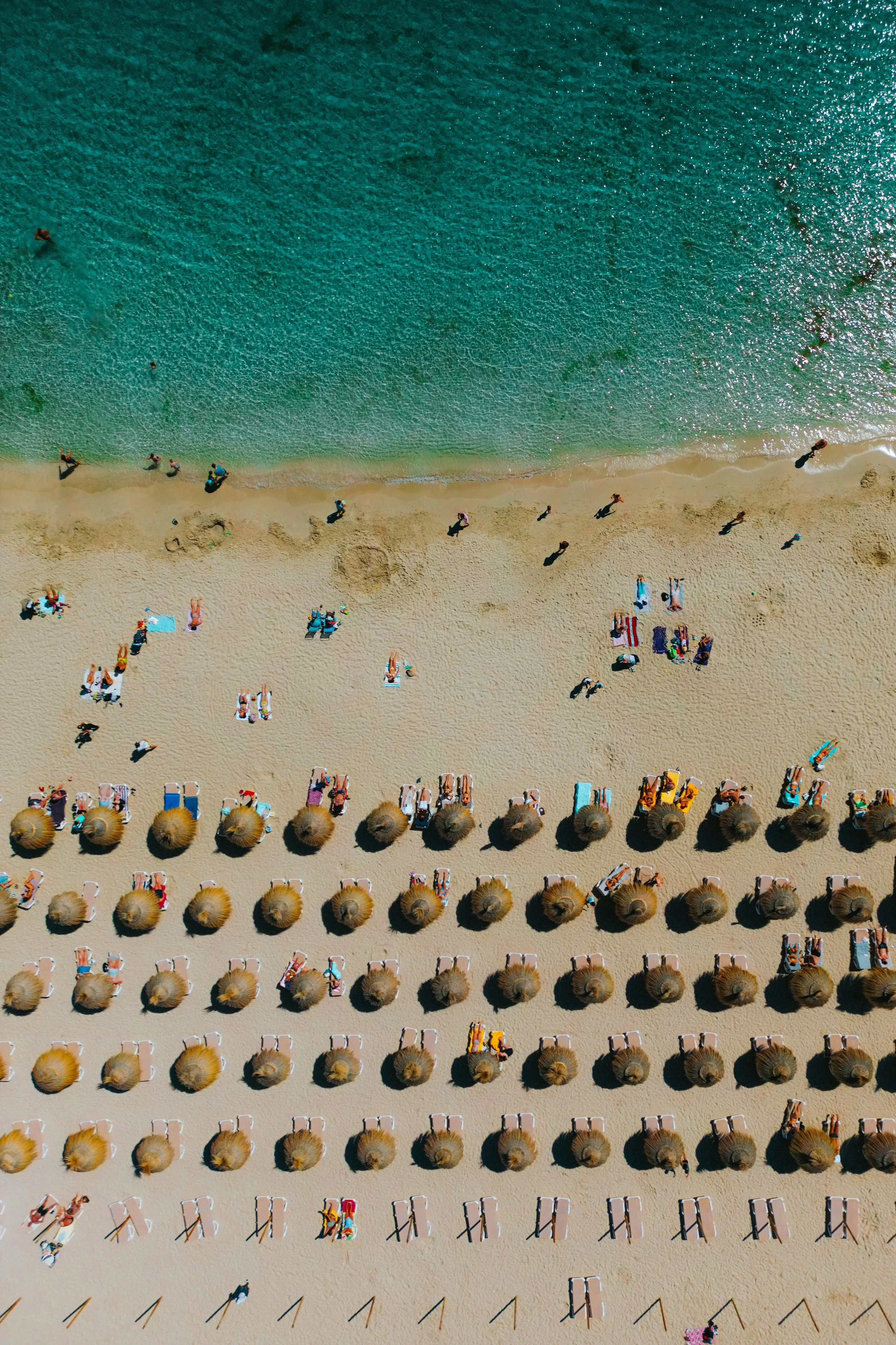 LA PLAYA
