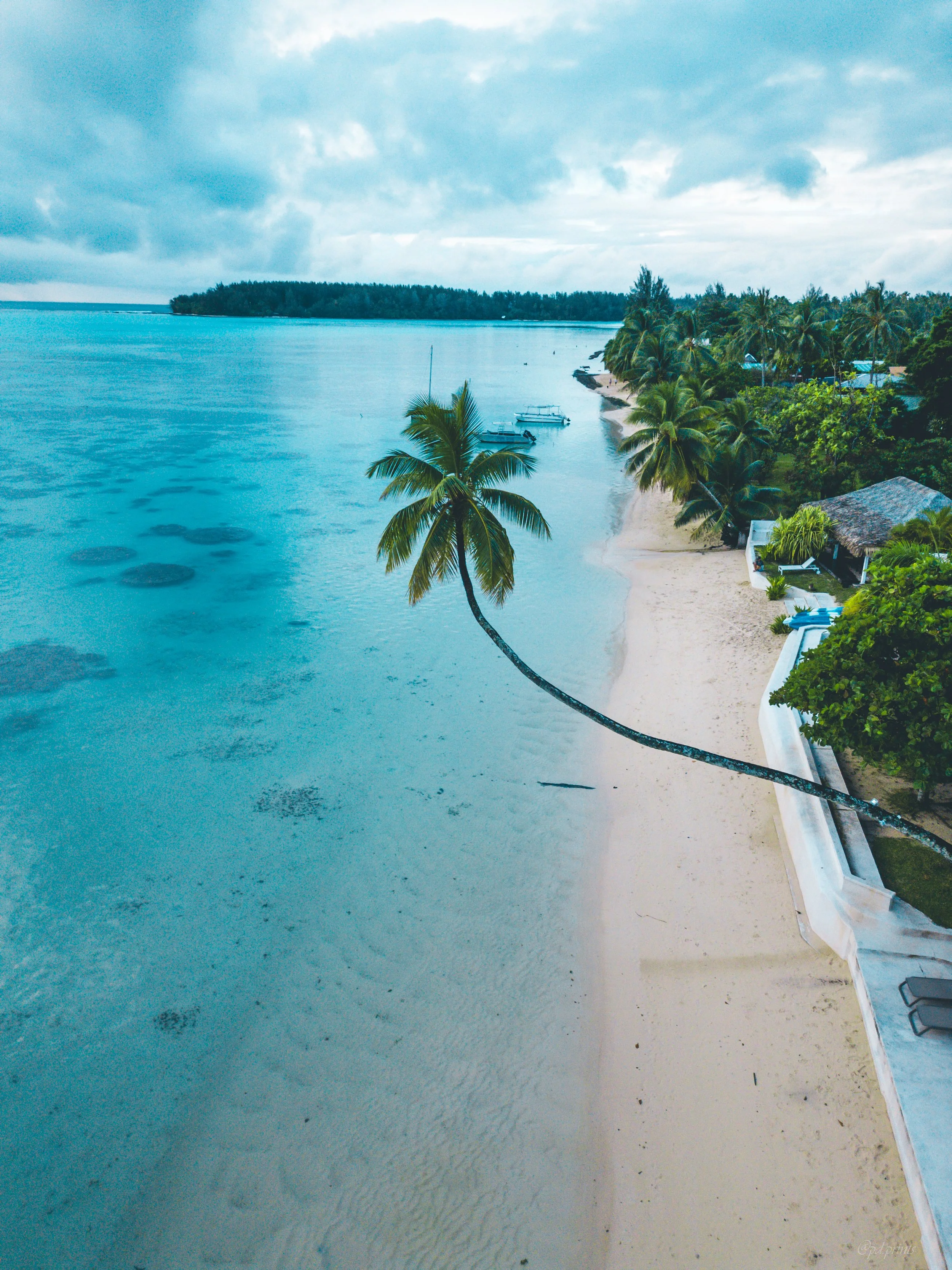 PURE POLYNESIA