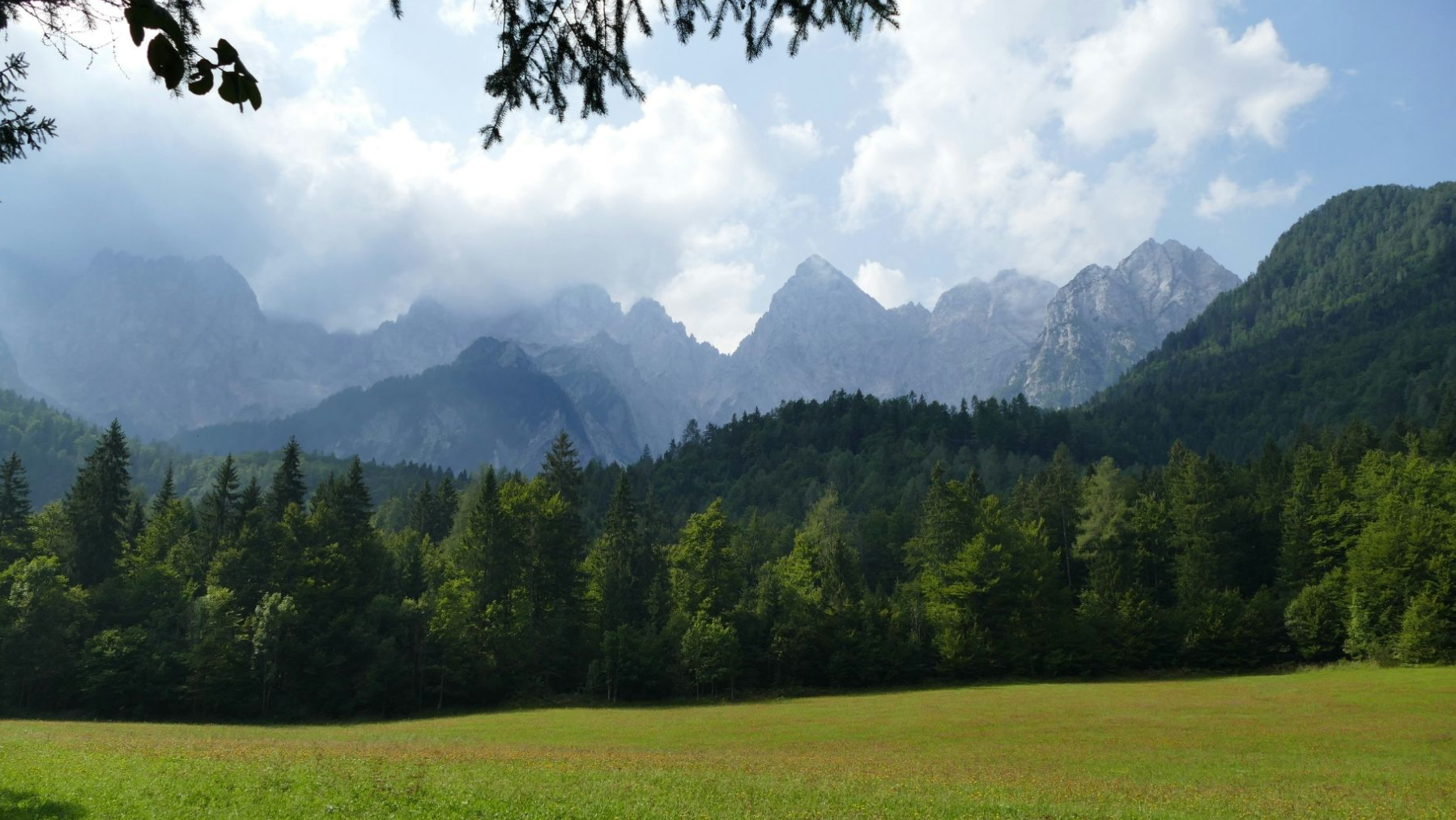 A scenic landscape of green grass in the foreground, a dense forest of coniferous trees in the middle ground, and tall, jagged mountains partially covered with clouds in the background under a partly cloudy sky.
