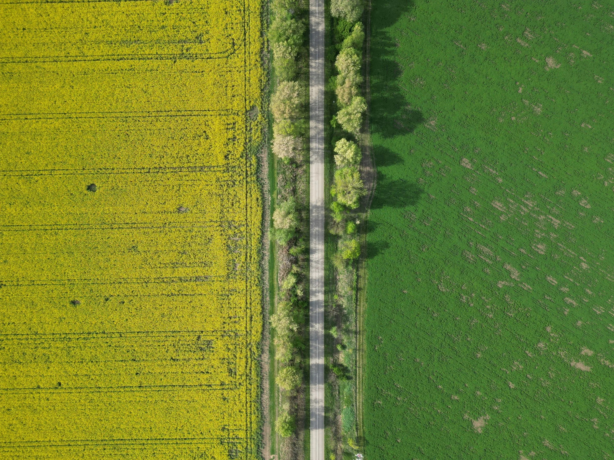 vojvodina ravnica .jpg