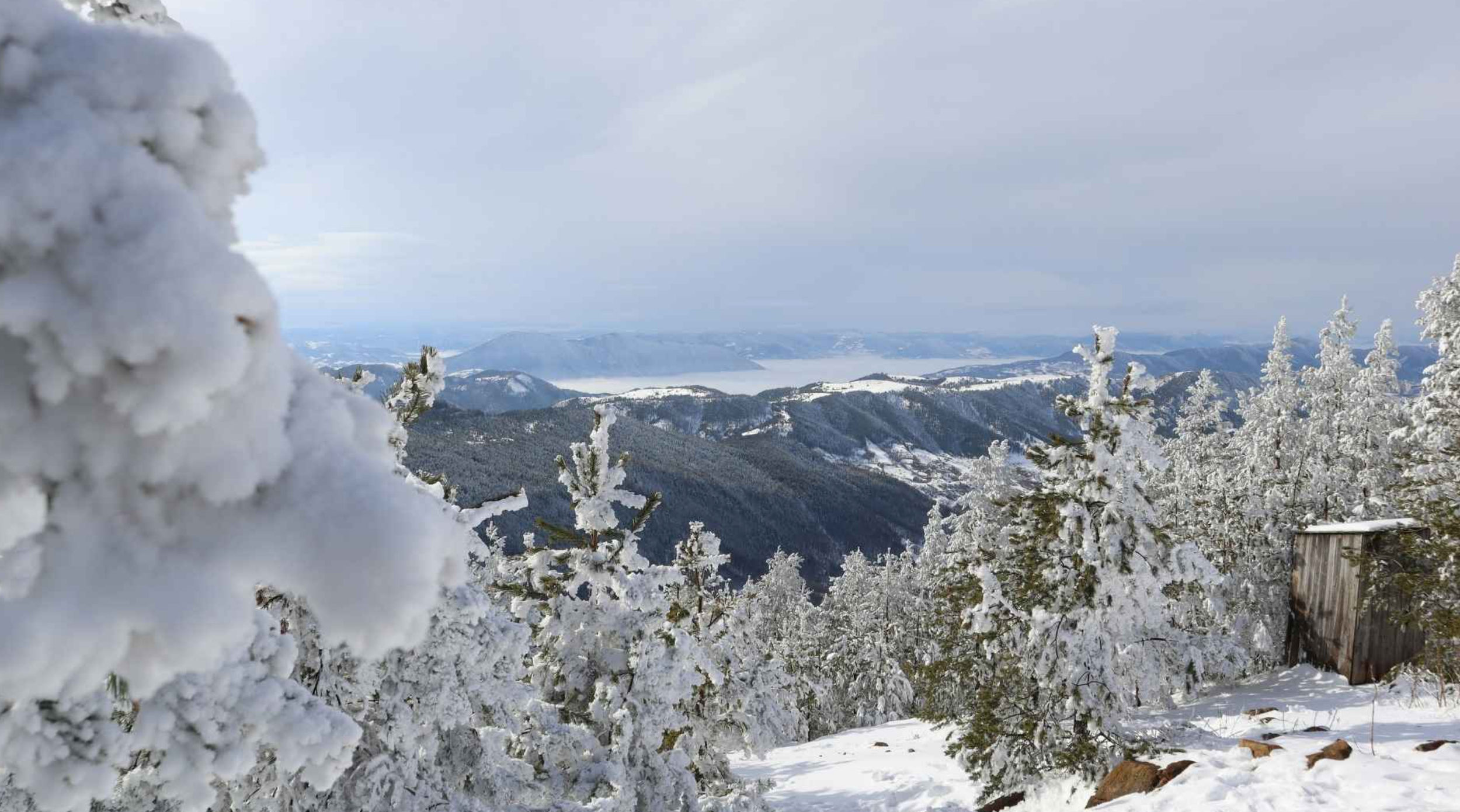 Snow-covered trees and mountains in the distance under a cloudy sky.