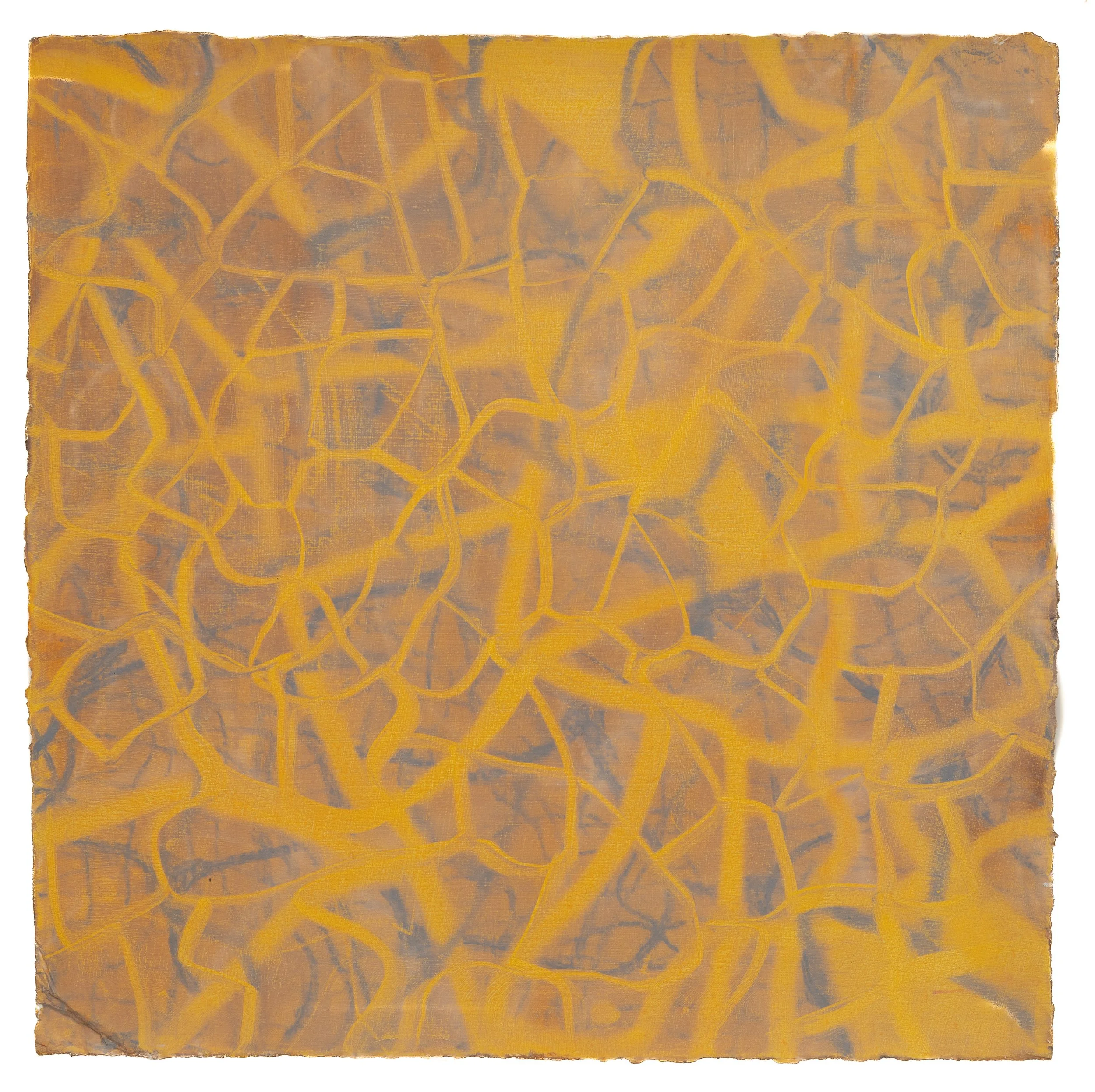 Fibrin in Yellow, 2026. Oil on Gessoed Paper, 38 x 38 cm