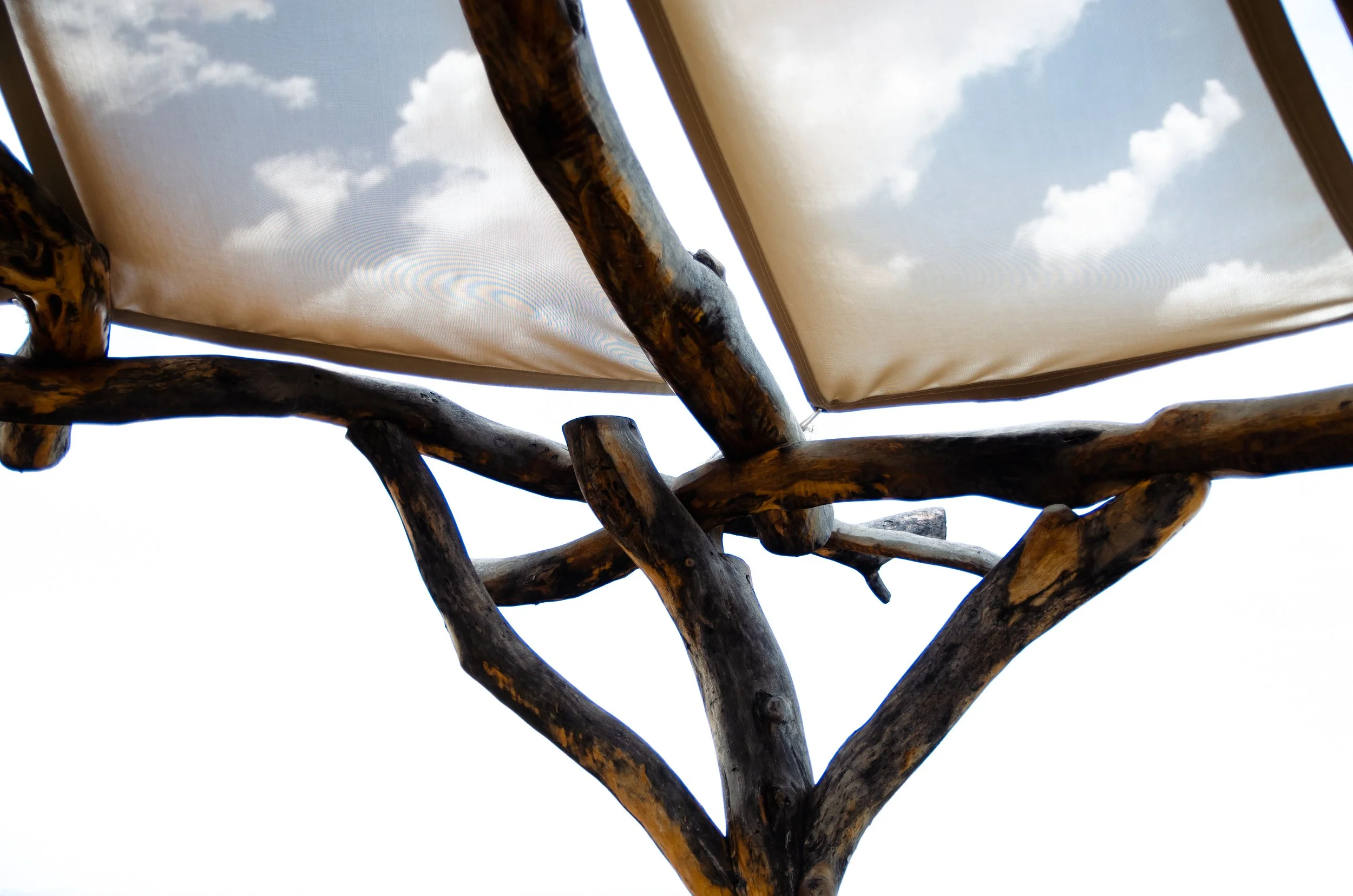 Annual Profections: Divine Timing with Ancient Astrology
