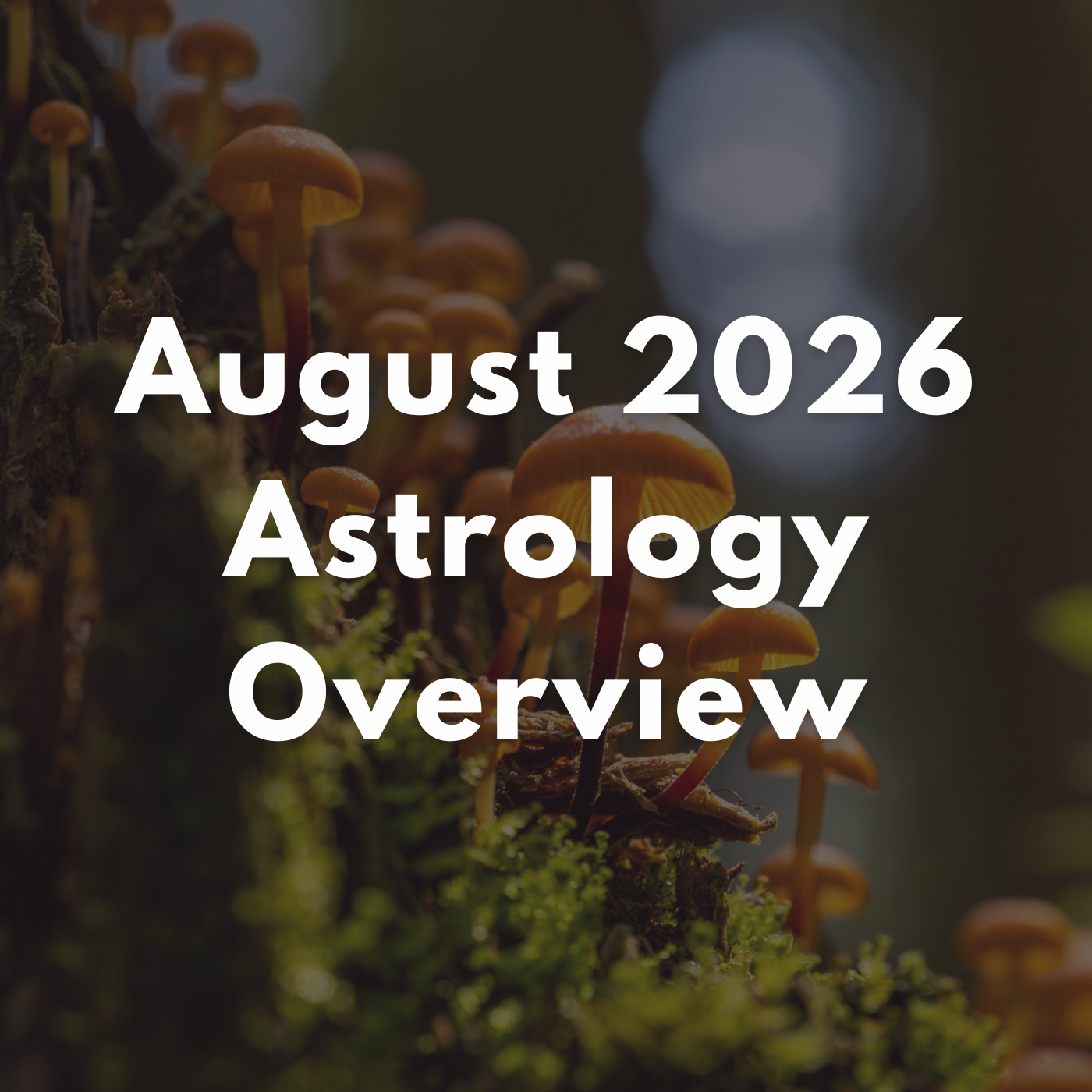August 2026 Astrology Overview