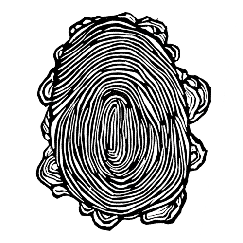 An outline of a fingerprint on a black background.