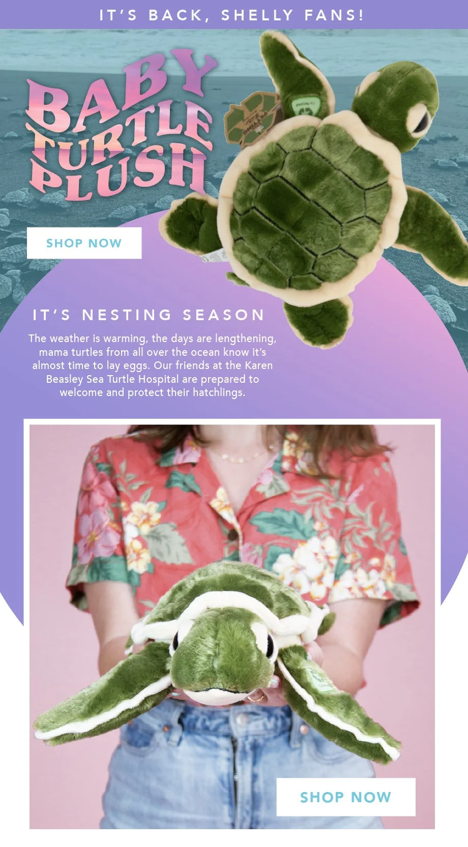 turtleplush.jpeg