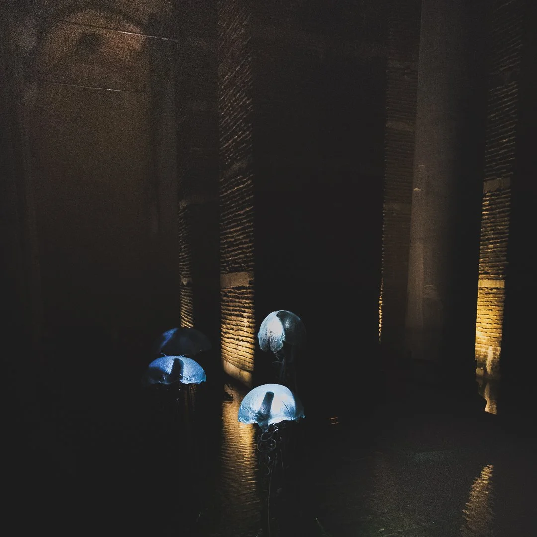 Mounted A3 print:  Istanbul Basilica Cistern
