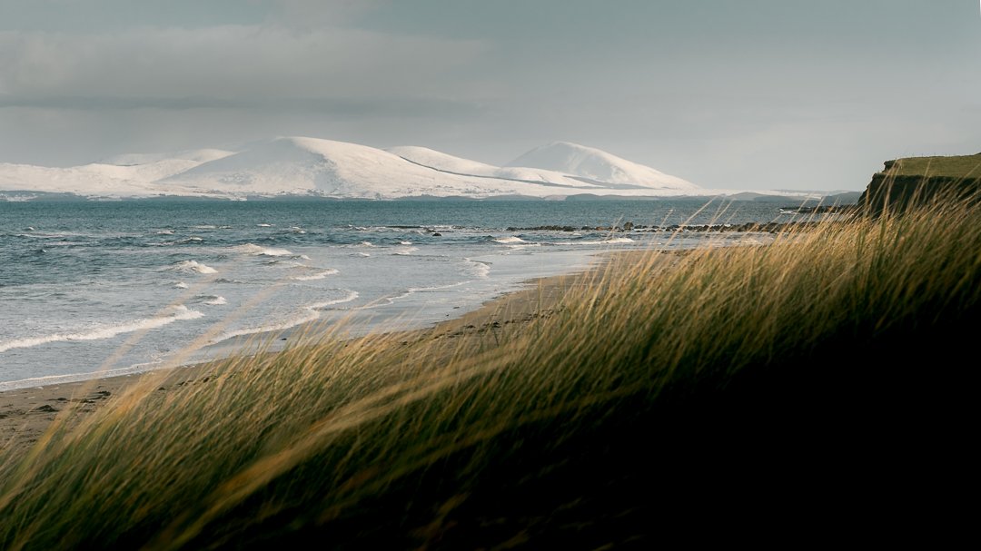 marrum grass carrowmore.jpg