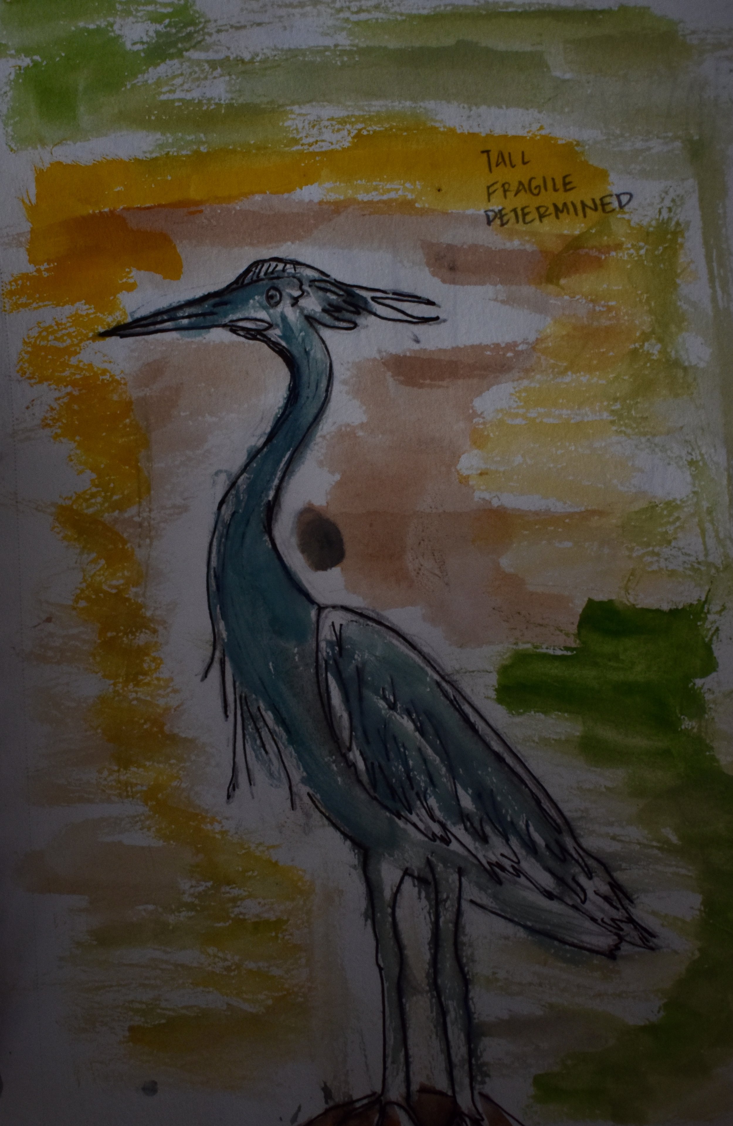 DSC_0381.jpeg