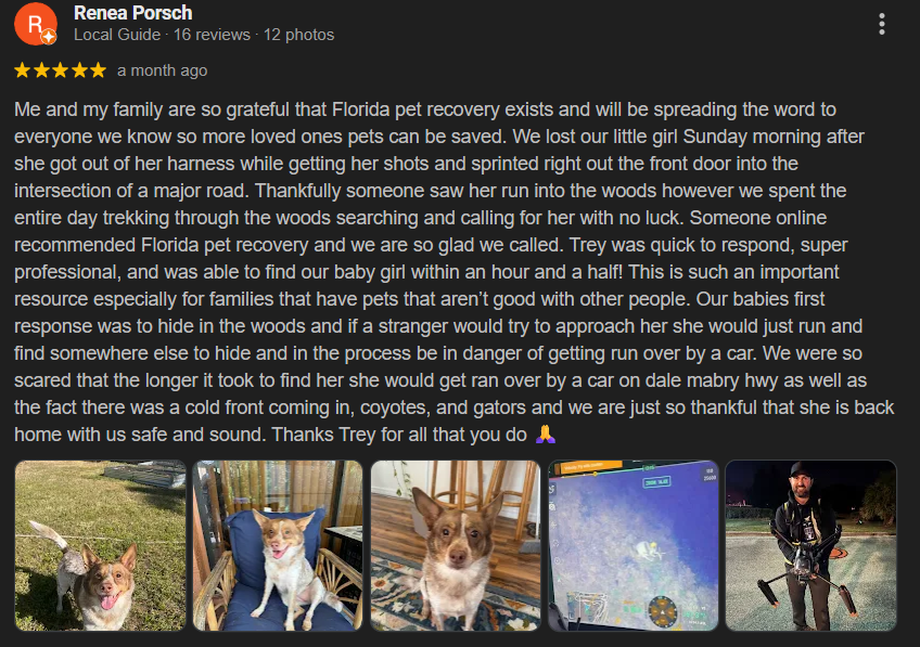 Sequence of five images: a small dog outdoors on grass, a dog on a porch with a pillow, a dog sitting on a rug, a screenshot of a video game, and a person at night with a bike.
