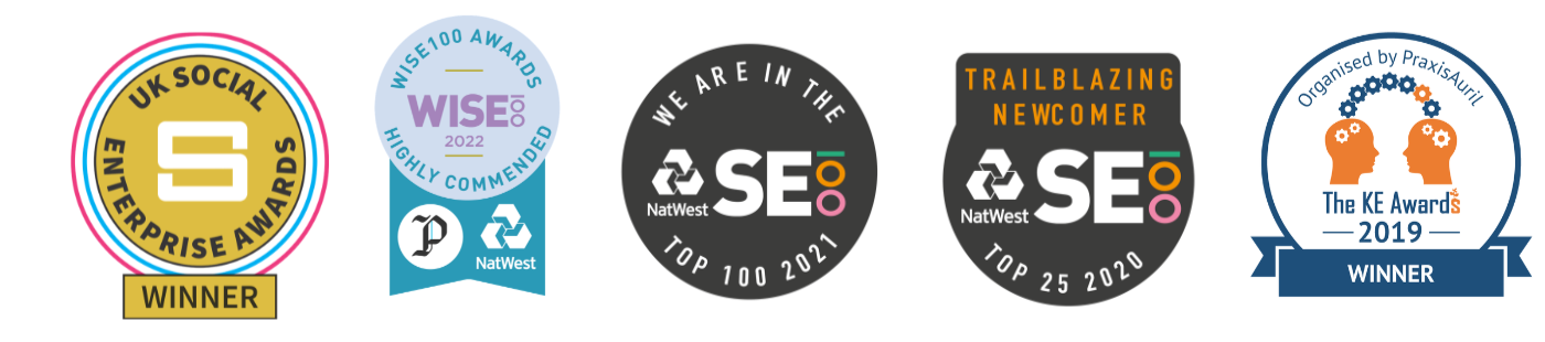 Six awards or badges related to business or leadership awards, each with different logos, titles, and colors, including recognitions from UK Social Enterprise Awards, WISE 100 Awards, NatWest Top 100 and Top 25 awards, and KE Awards, with some labeled as winners.