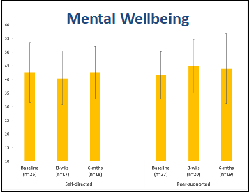 Bar graph showing mental wellbeing scores at different time points, including baseline, 8 weeks, and 6 months, for self-directed and peer-supported groups.