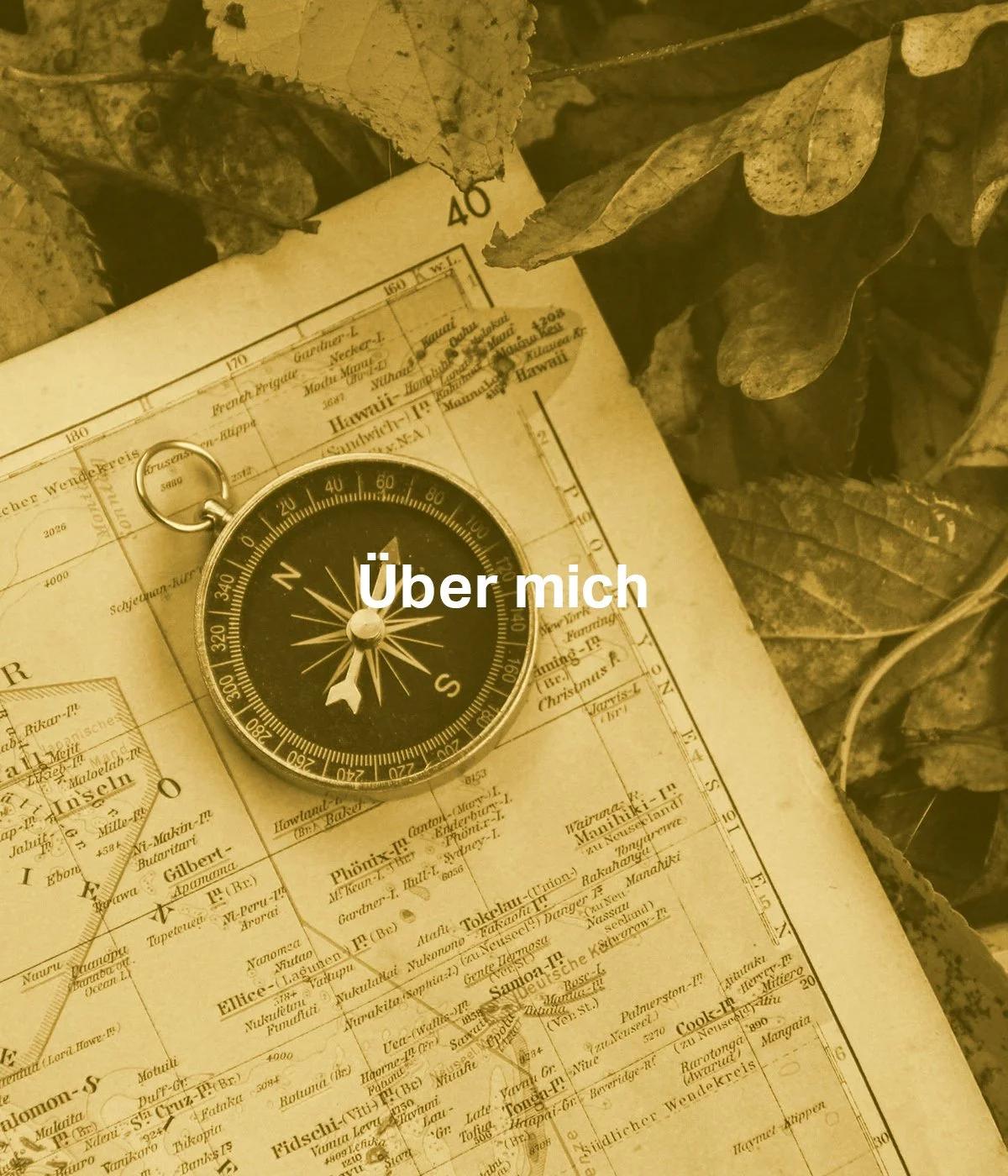 © Denise Jan / Unsplash
