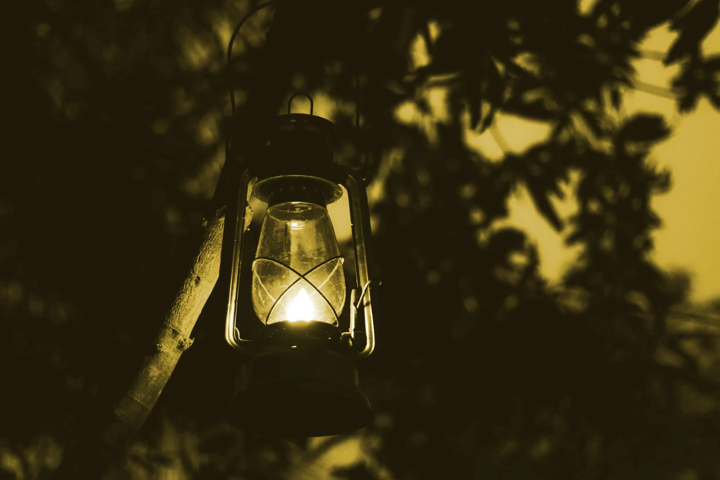 © Dhilip Antony / Unsplash